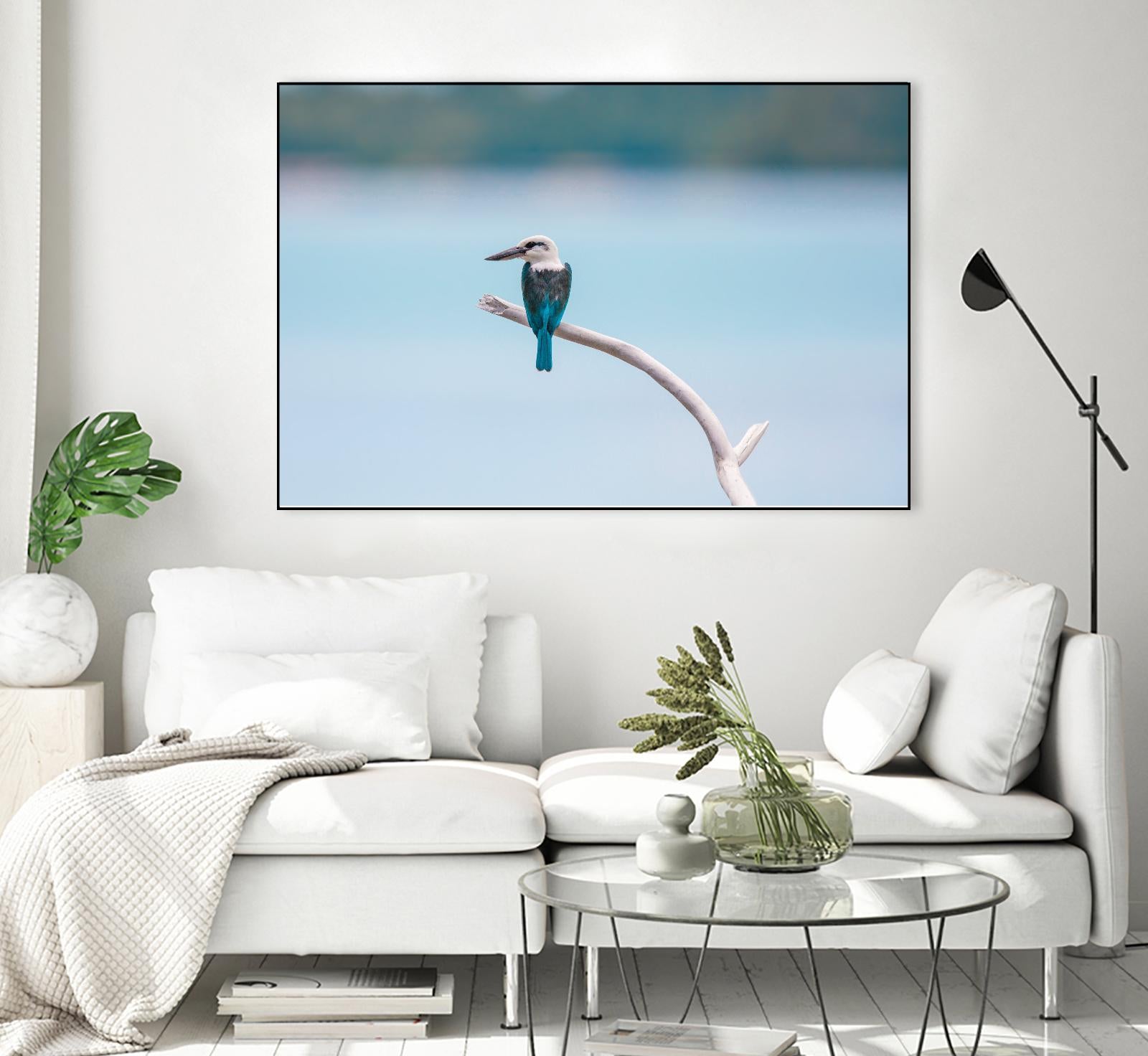 Bird on a branch by Pexels on GIANT ART - white animals