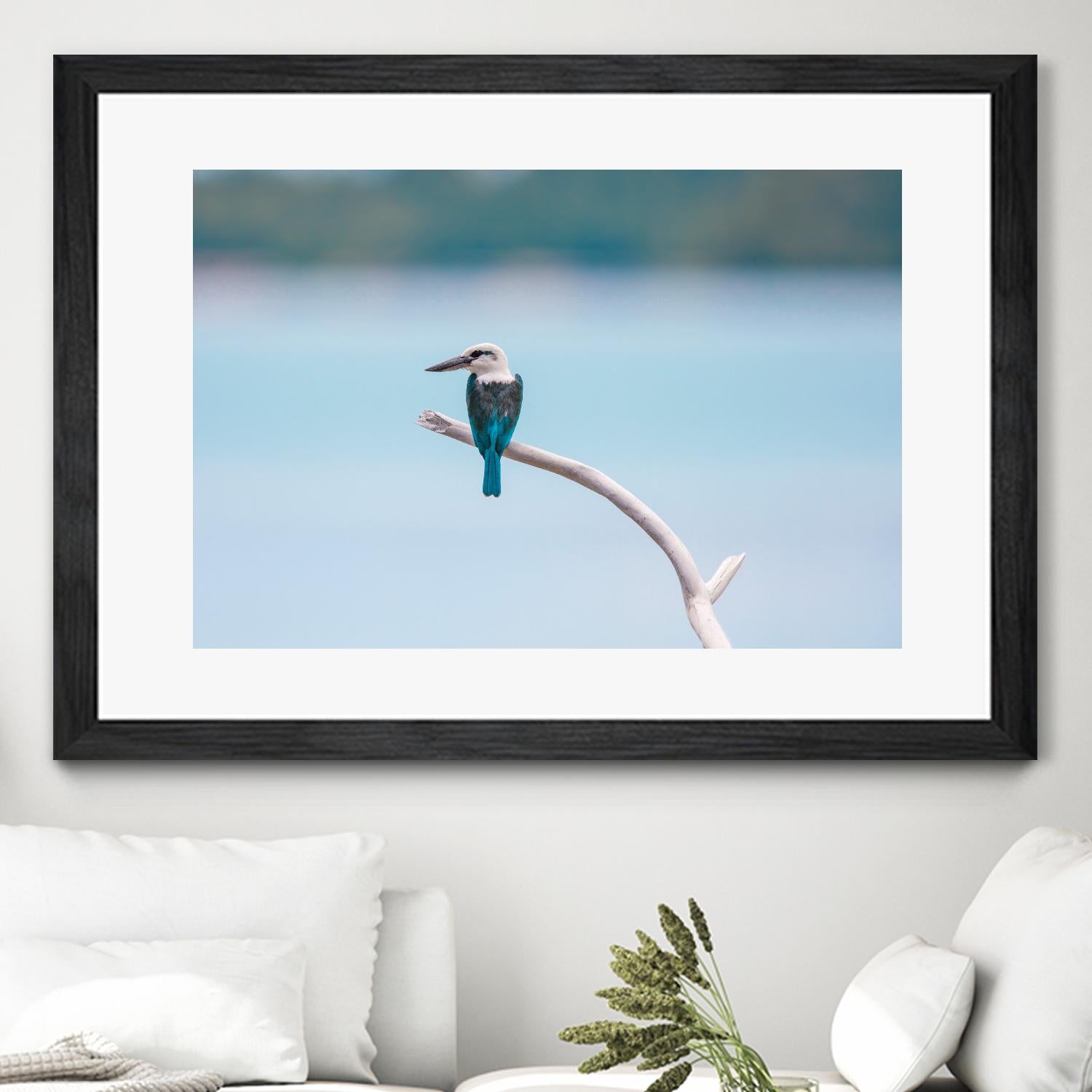 Bird on a branch by Pexels on GIANT ART - white animals