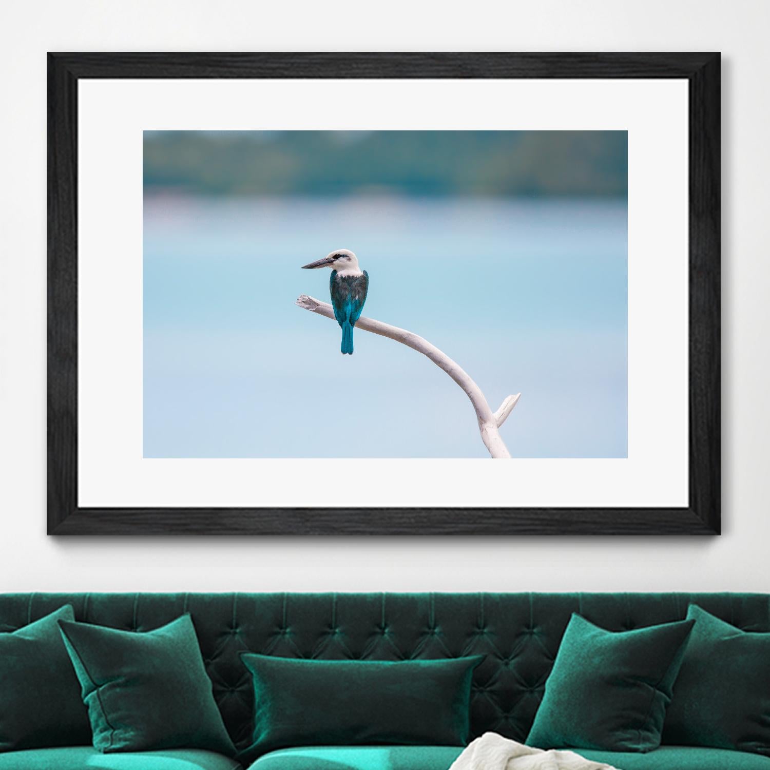 Bird on a branch by Pexels on GIANT ART - white animals