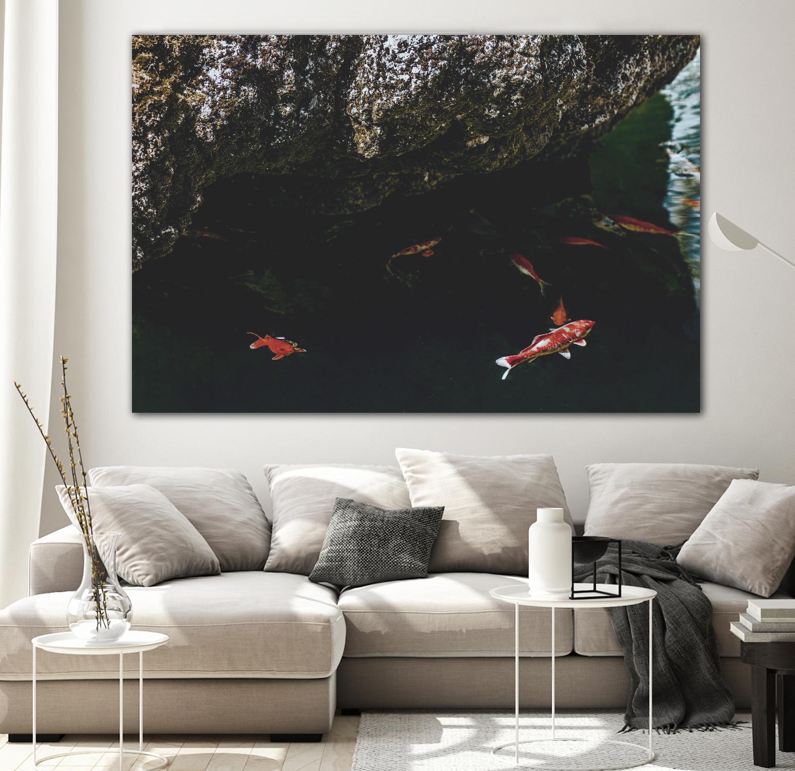 Hiding Koi by Pexels on GIANT ART - orange animals