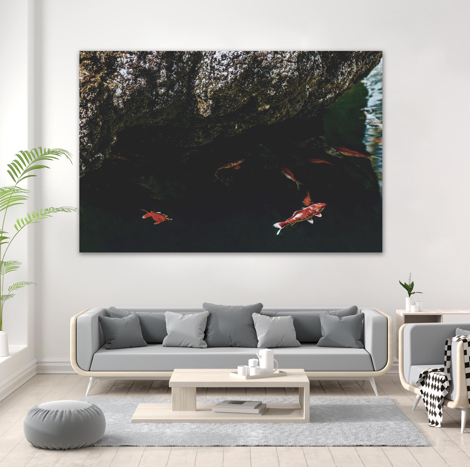 Hiding Koi by Pexels on GIANT ART - orange animals