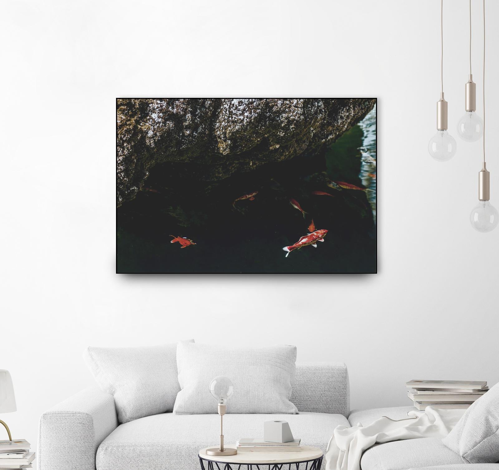 Hiding Koi by Pexels on GIANT ART - orange animals