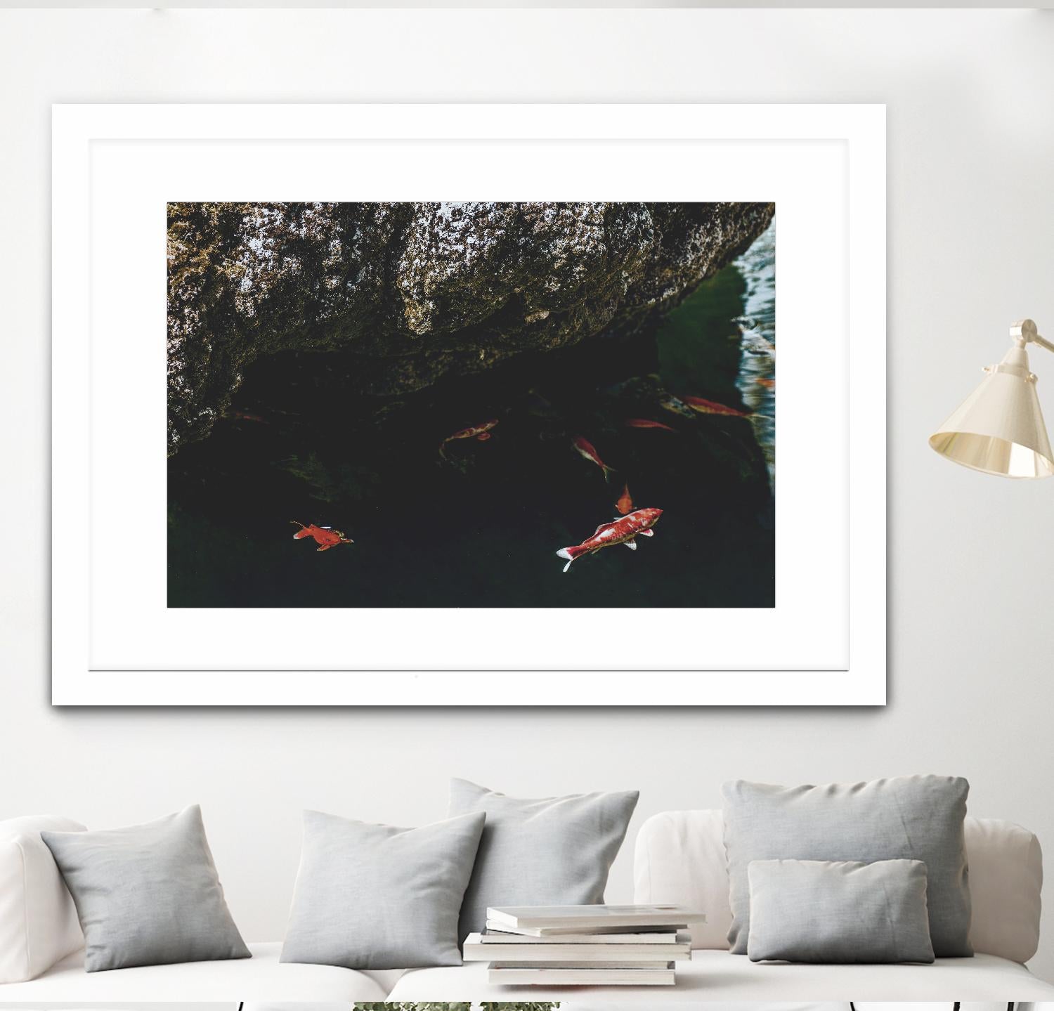 Hiding Koi by Pexels on GIANT ART - orange animals