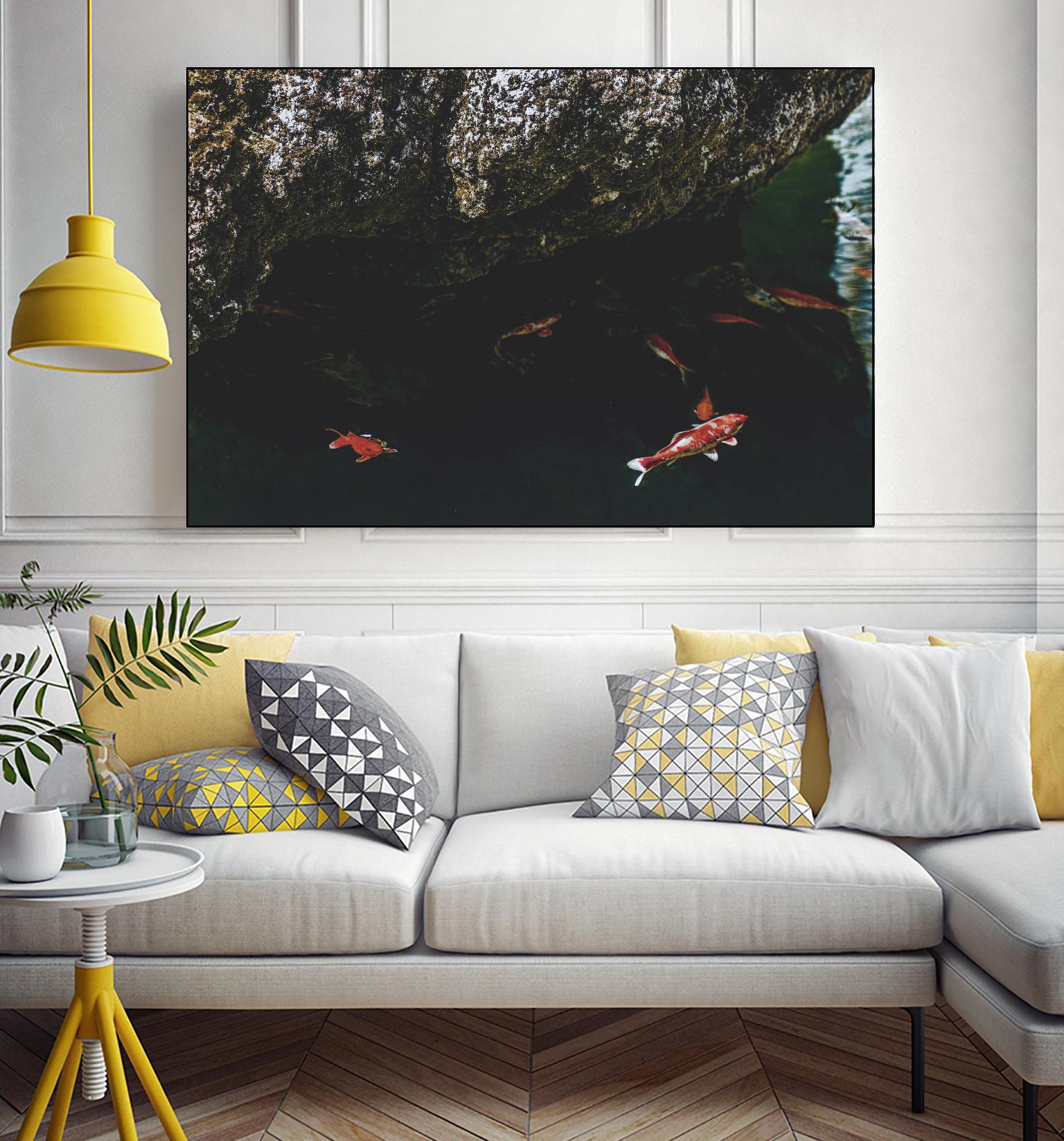 Hiding Koi by Pexels on GIANT ART - orange animals