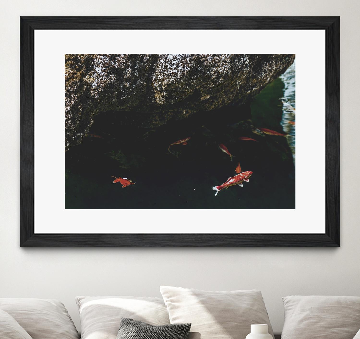 Hiding Koi by Pexels on GIANT ART - orange animals