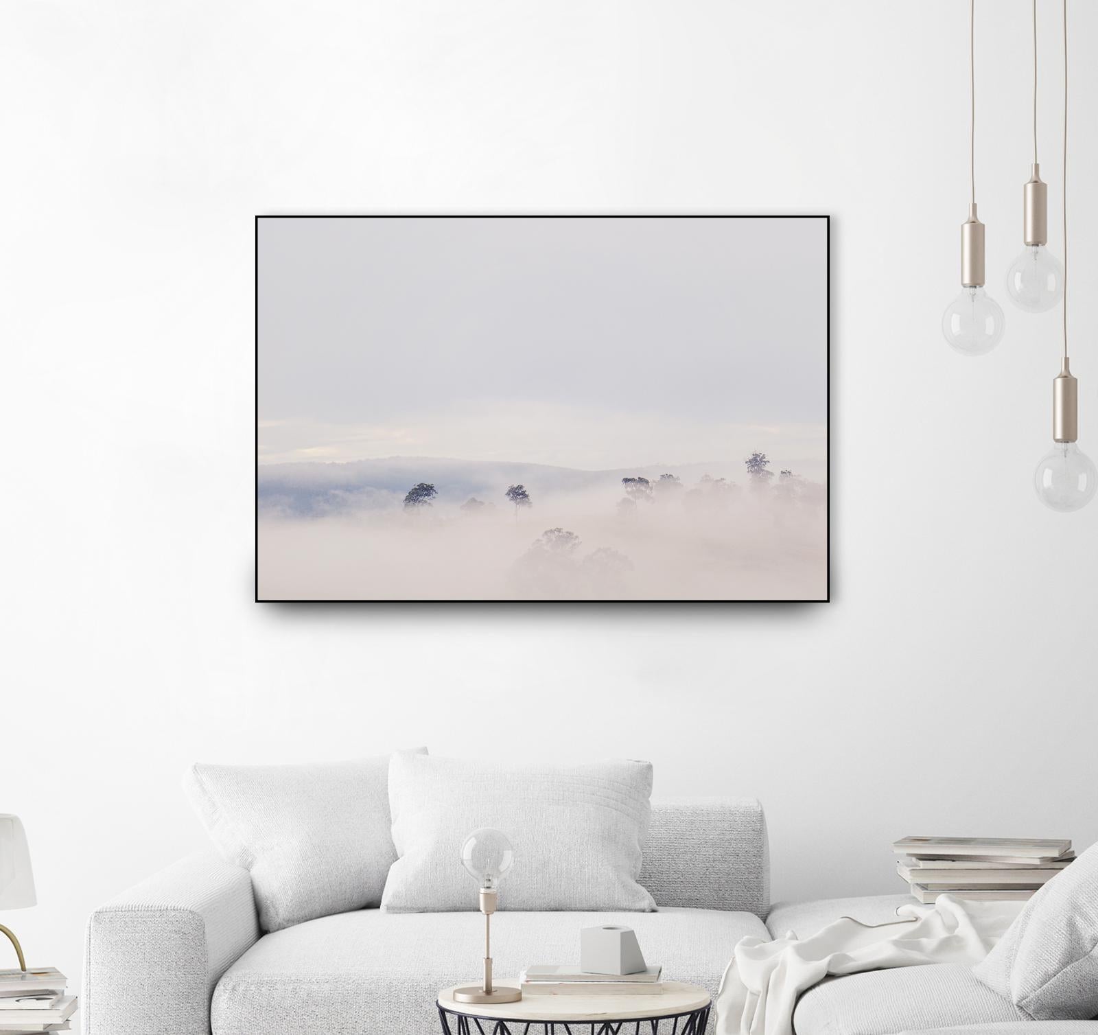 Top Trees by Pexels on GIANT ART - grey landscape