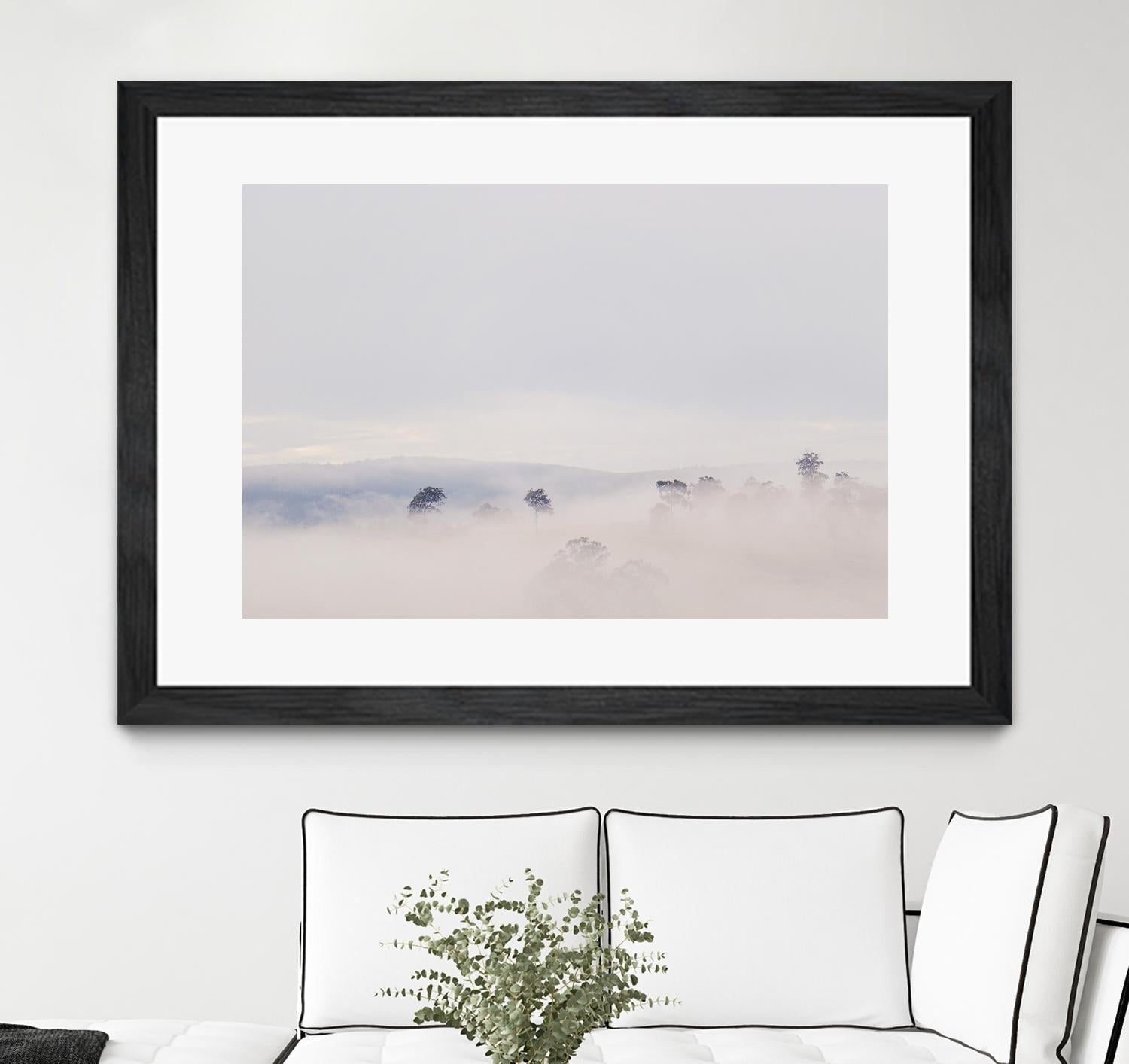 Top Trees by Pexels on GIANT ART - white landscape