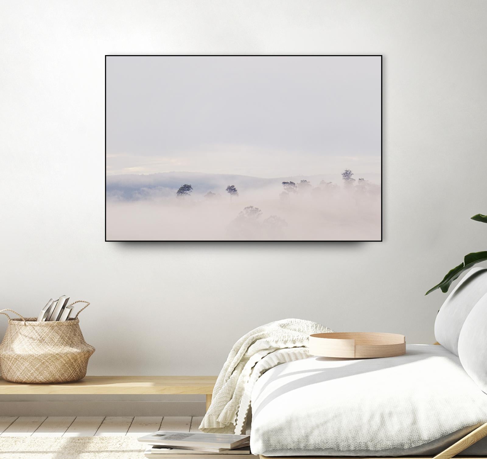 Top Trees by Pexels on GIANT ART - grey landscape