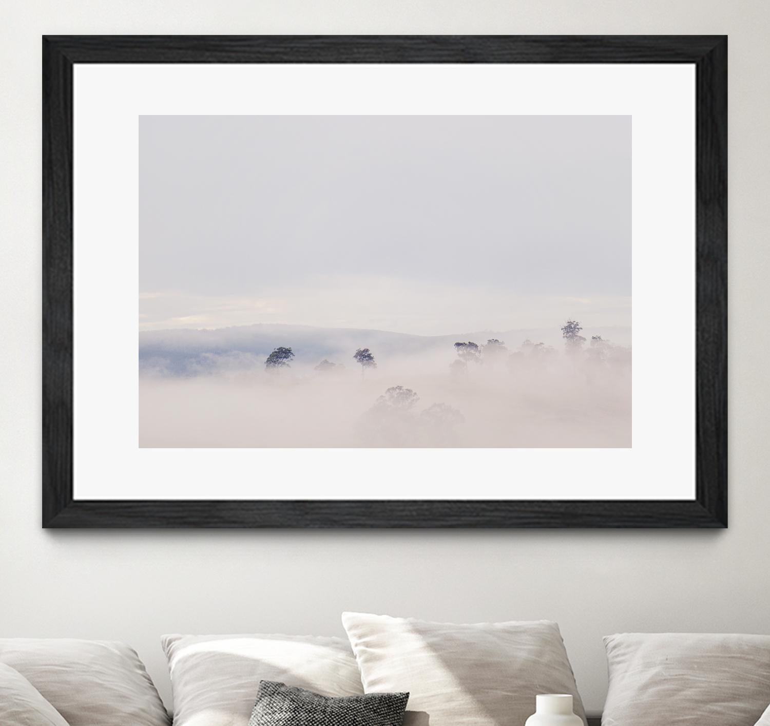 Top Trees by Pexels on GIANT ART - white landscape