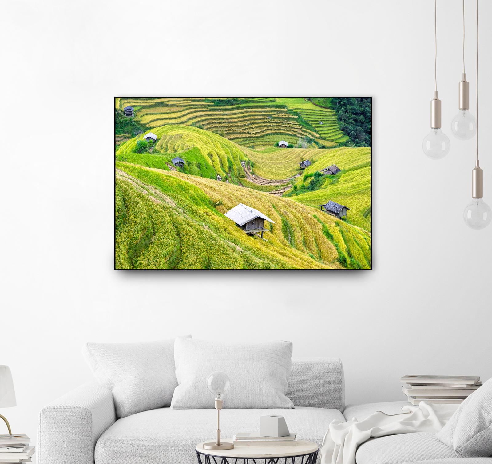 Paddy field valley by Pexels on GIANT ART - yellow landscape