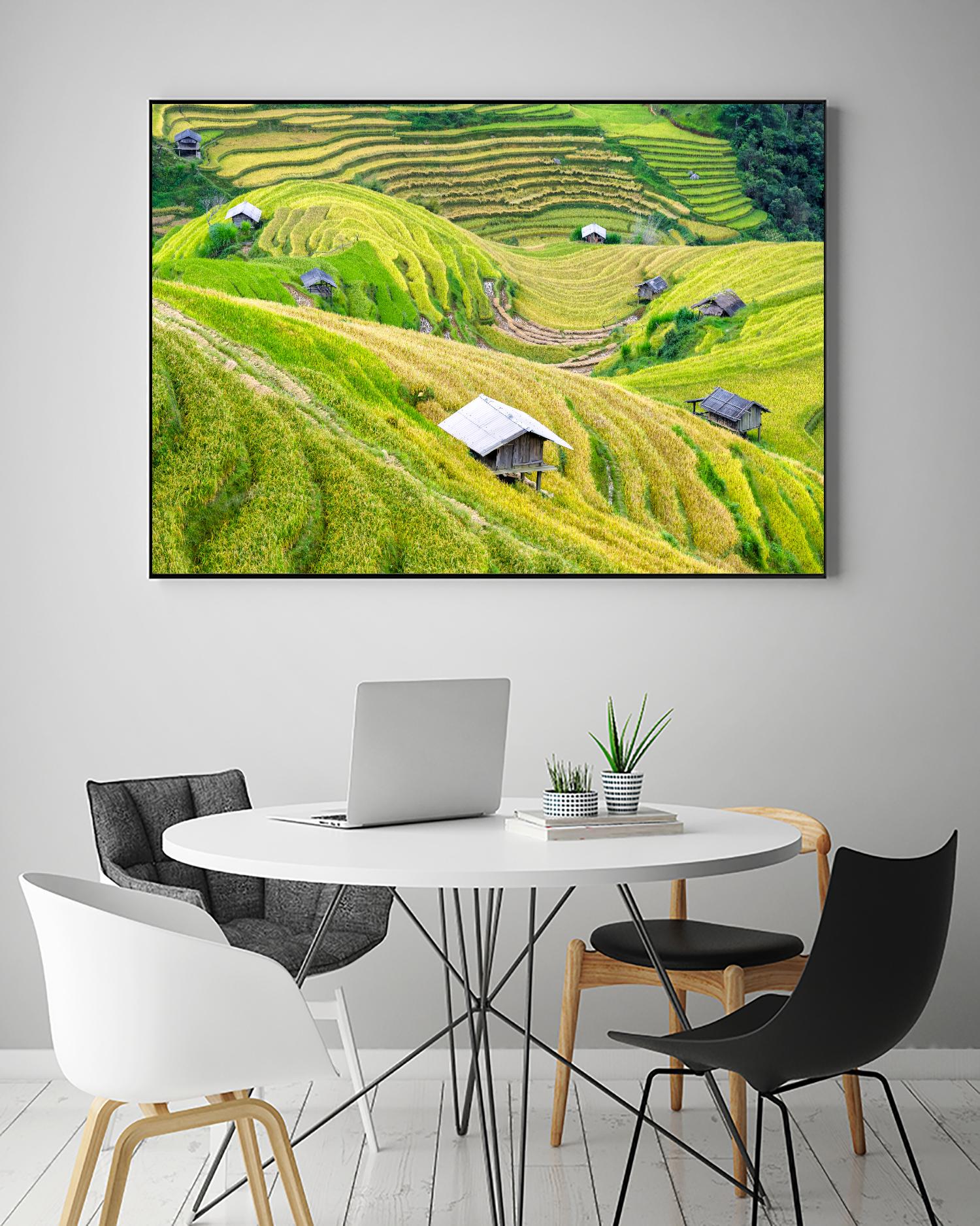 Paddy field valley by Pexels on GIANT ART - yellow landscape