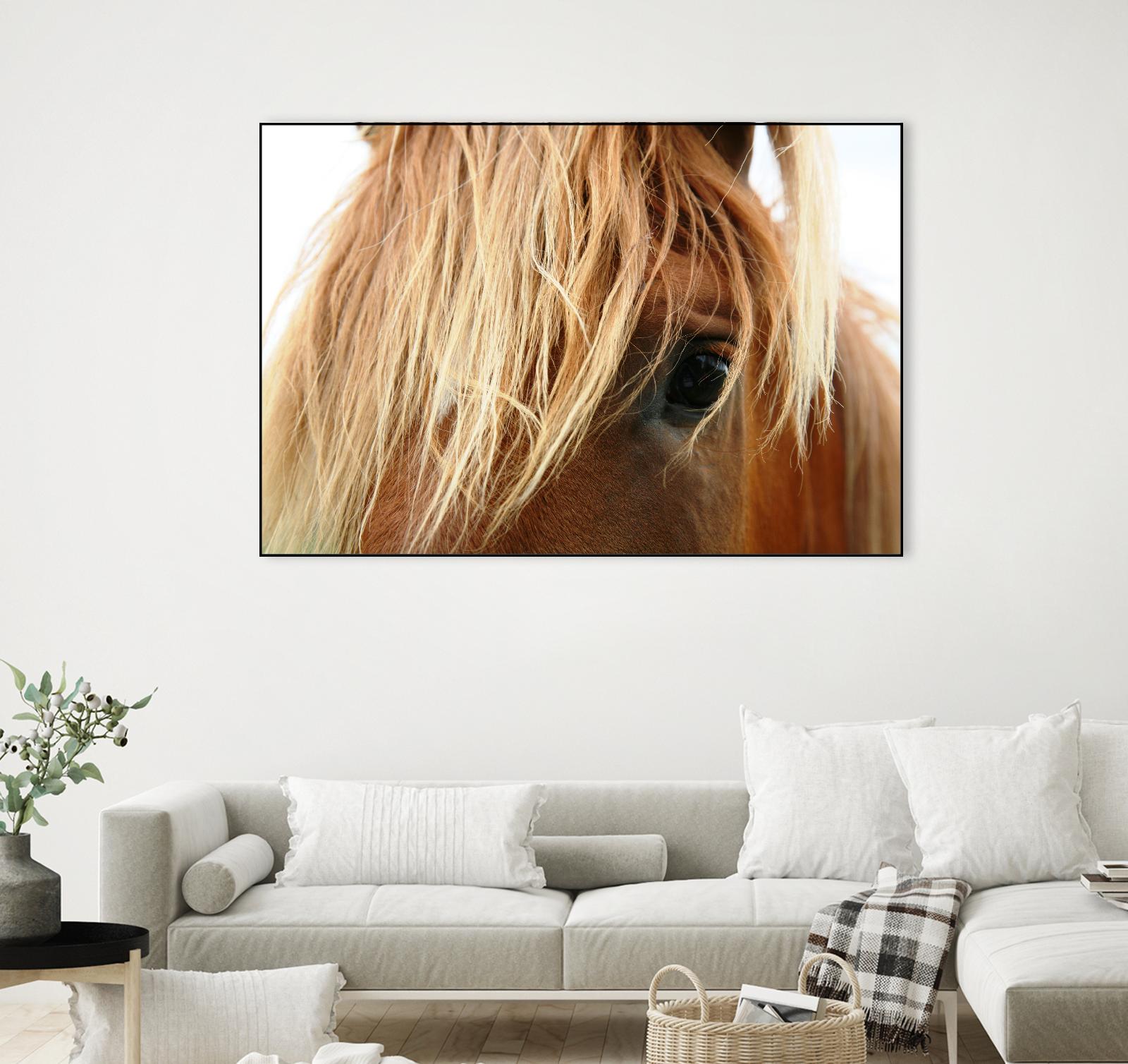 Horsey by Pexels on GIANT ART - white animals