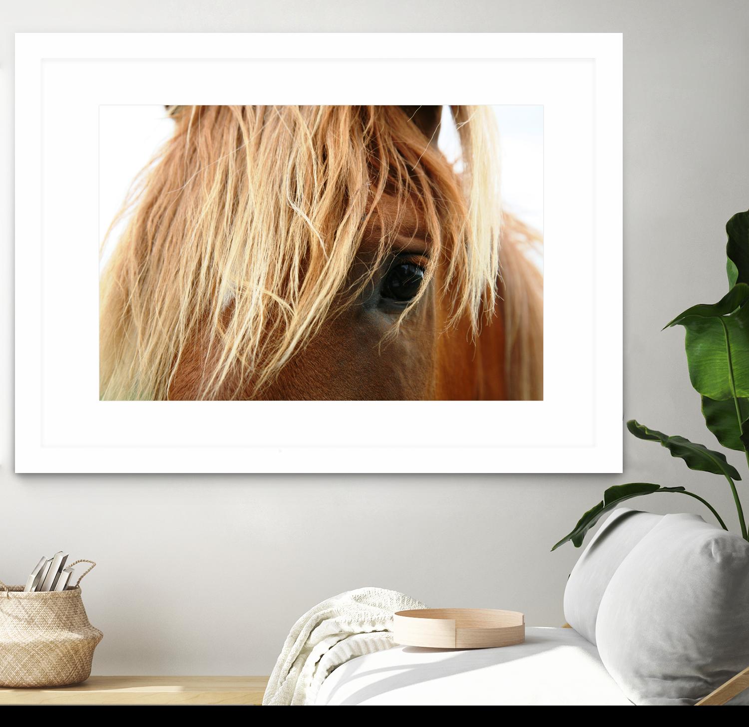 Horsey by Pexels on GIANT ART - white animals