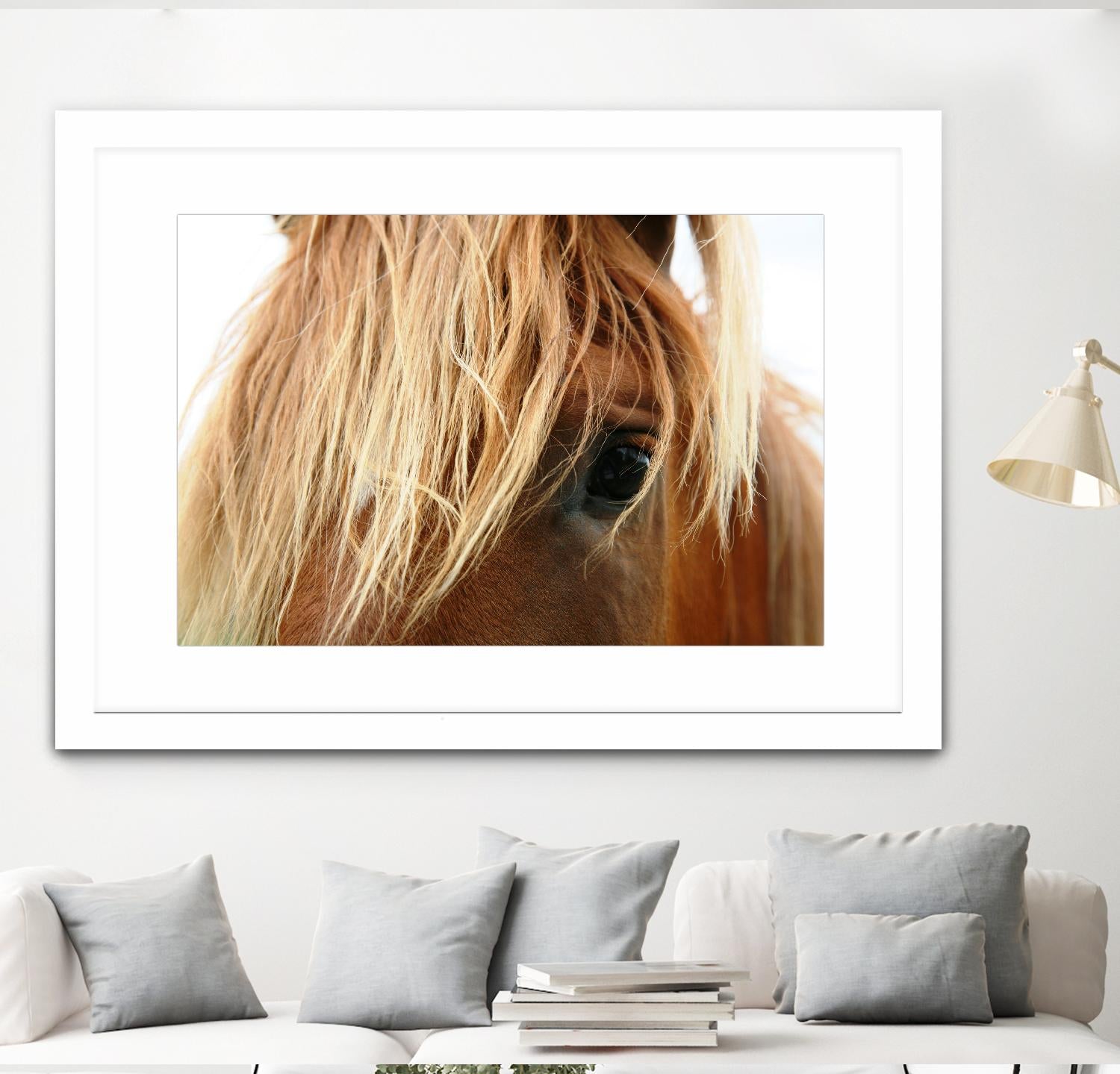 Horsey by Pexels on GIANT ART - white animals