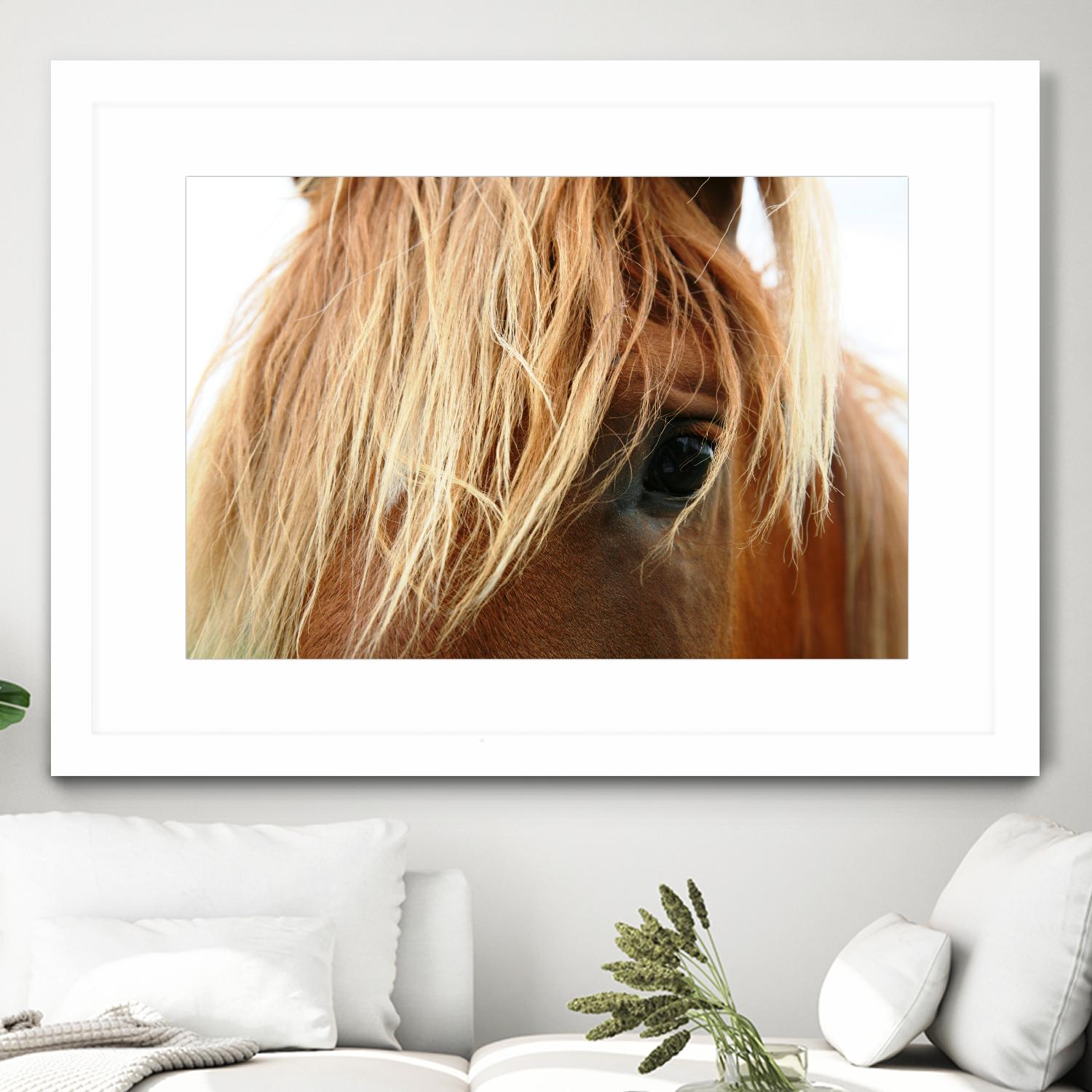 Horsey by Pexels on GIANT ART - white animals