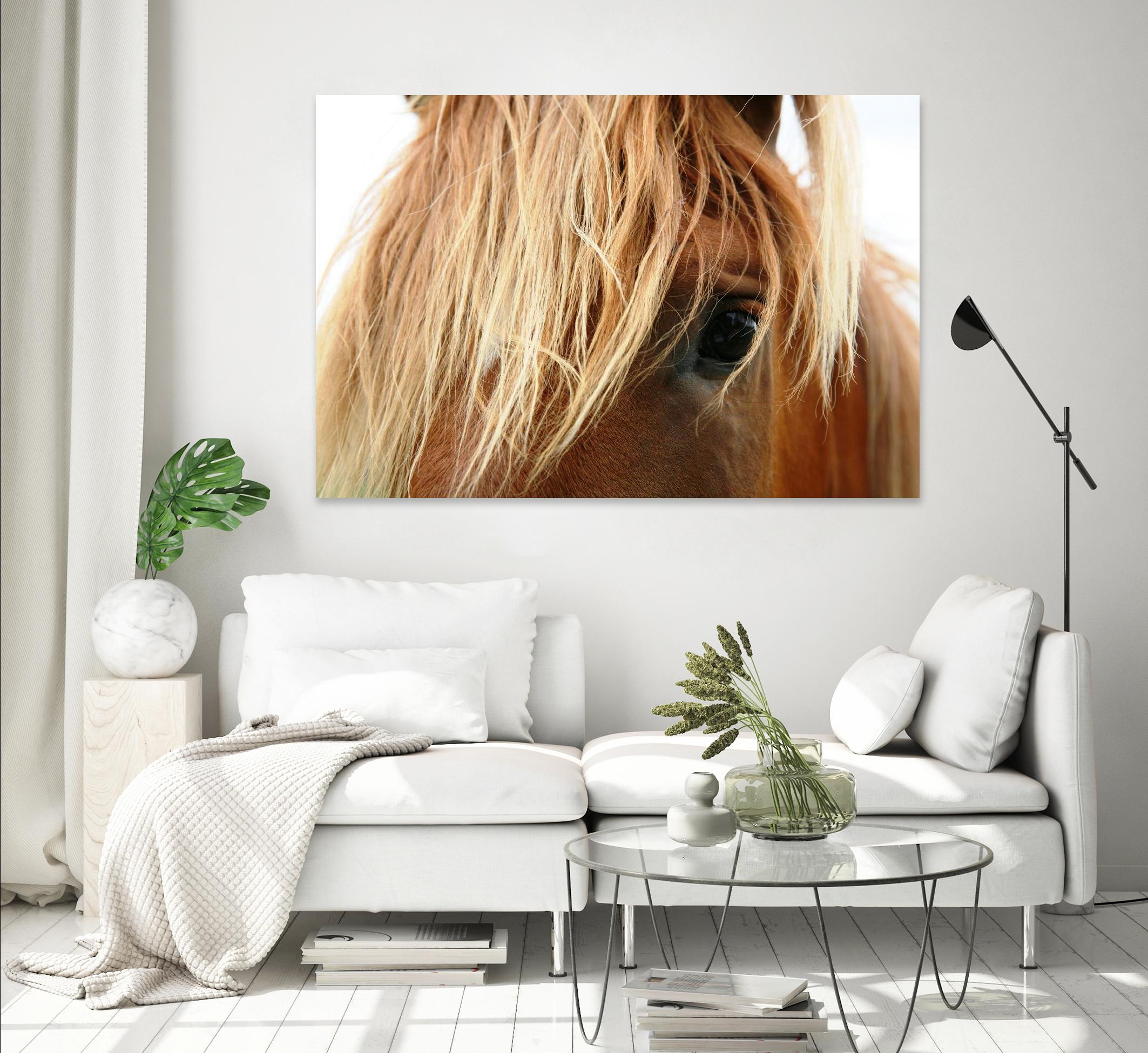 Horsey by Pexels on GIANT ART - white animals