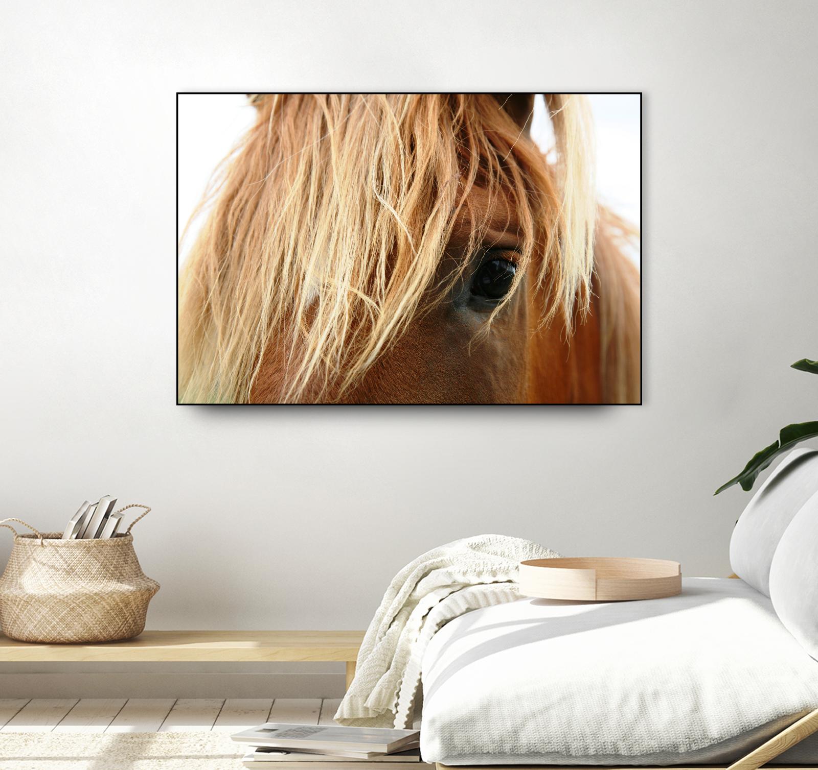 Horsey by Pexels on GIANT ART - white animals