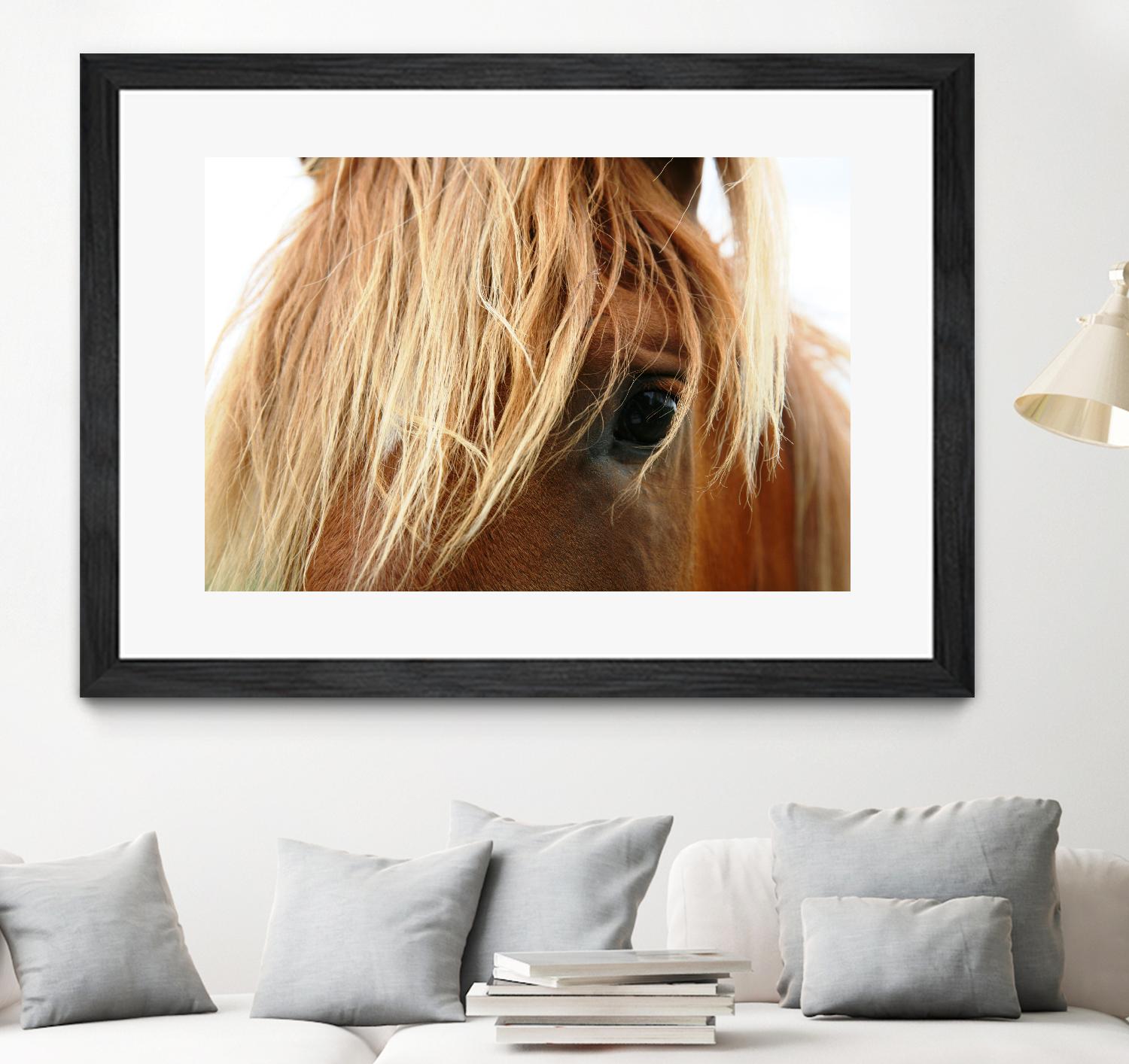 Horsey by Pexels on GIANT ART - white animals