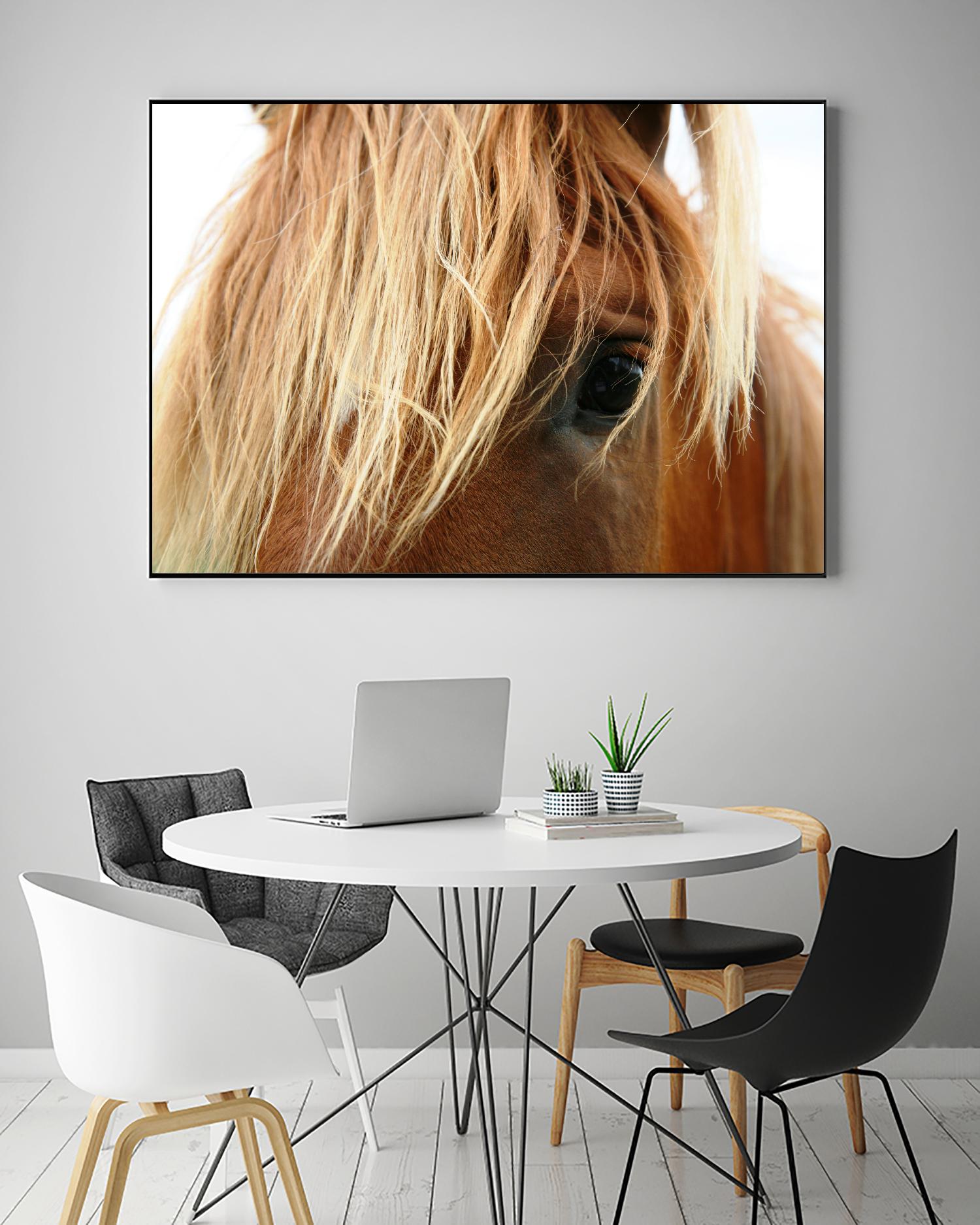 Horsey by Pexels on GIANT ART - white animals