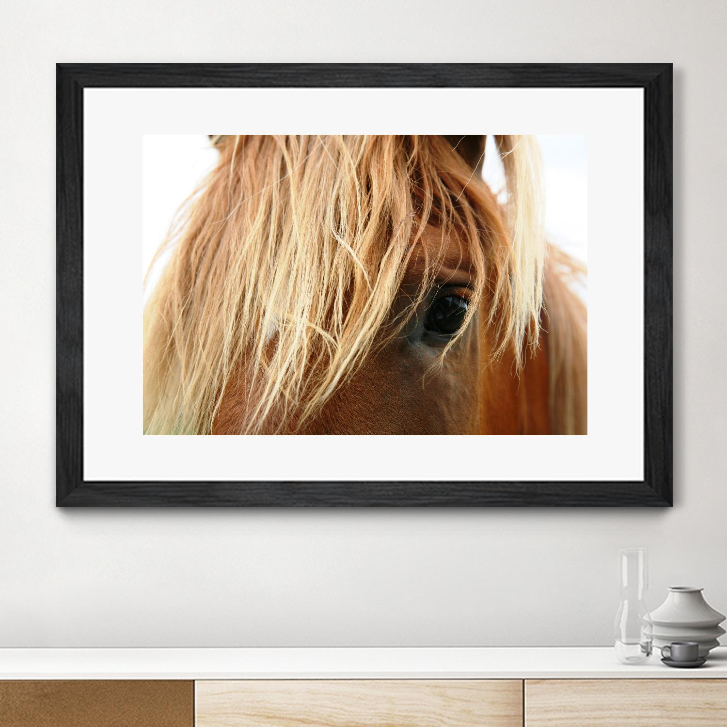 Horsey by Pexels on GIANT ART - white animals