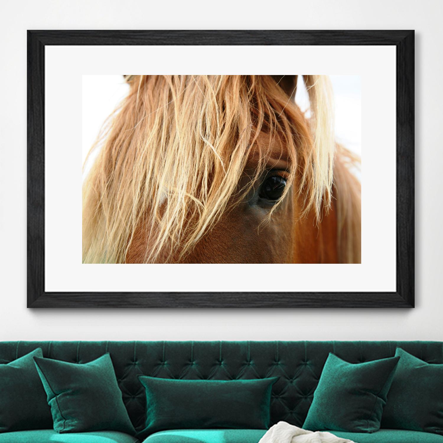 Horsey by Pexels on GIANT ART - white animals