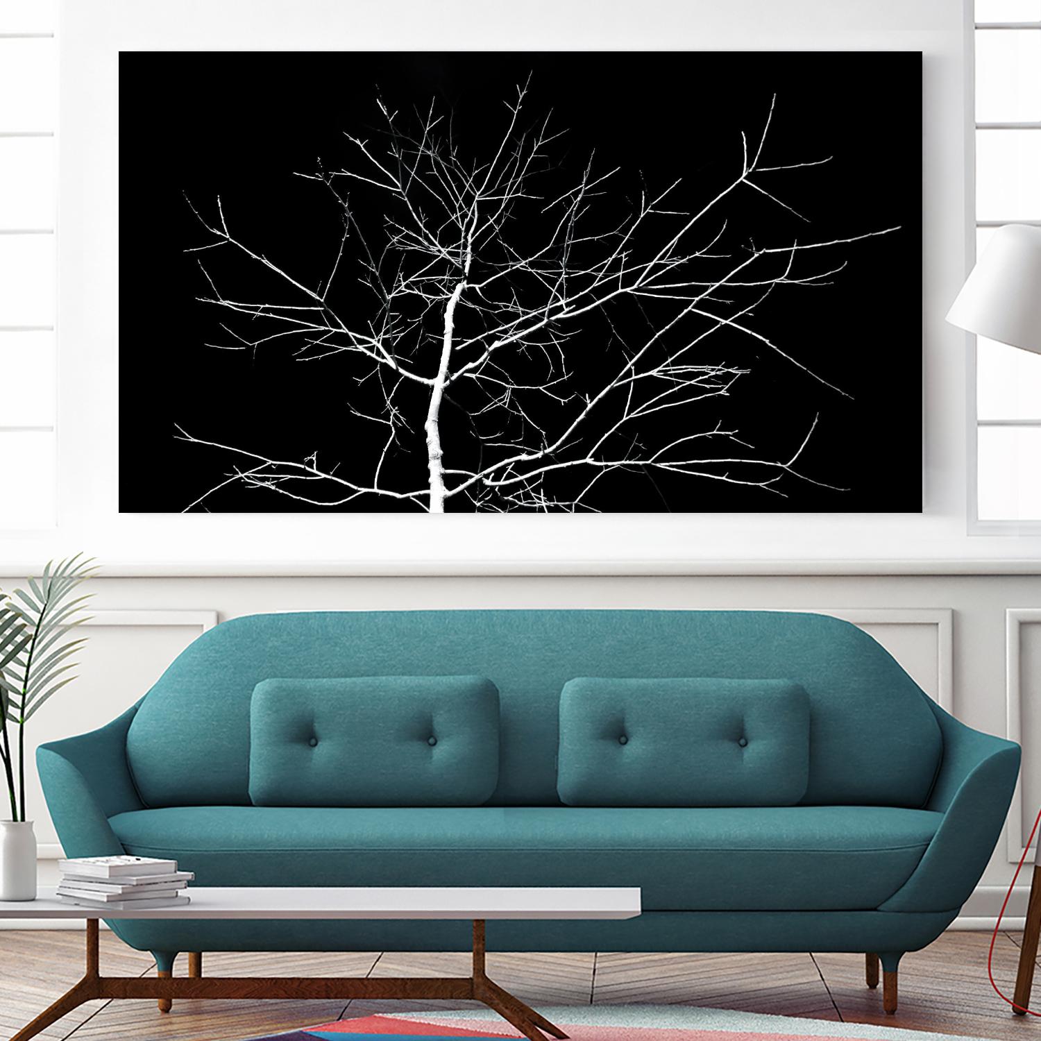 White Tree by Pexels on GIANT ART - white trees