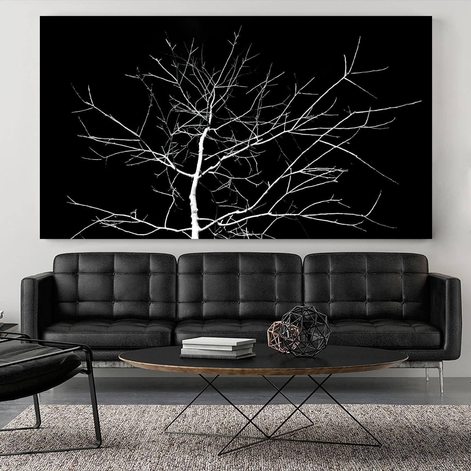 White Tree by Pexels on GIANT ART - white trees