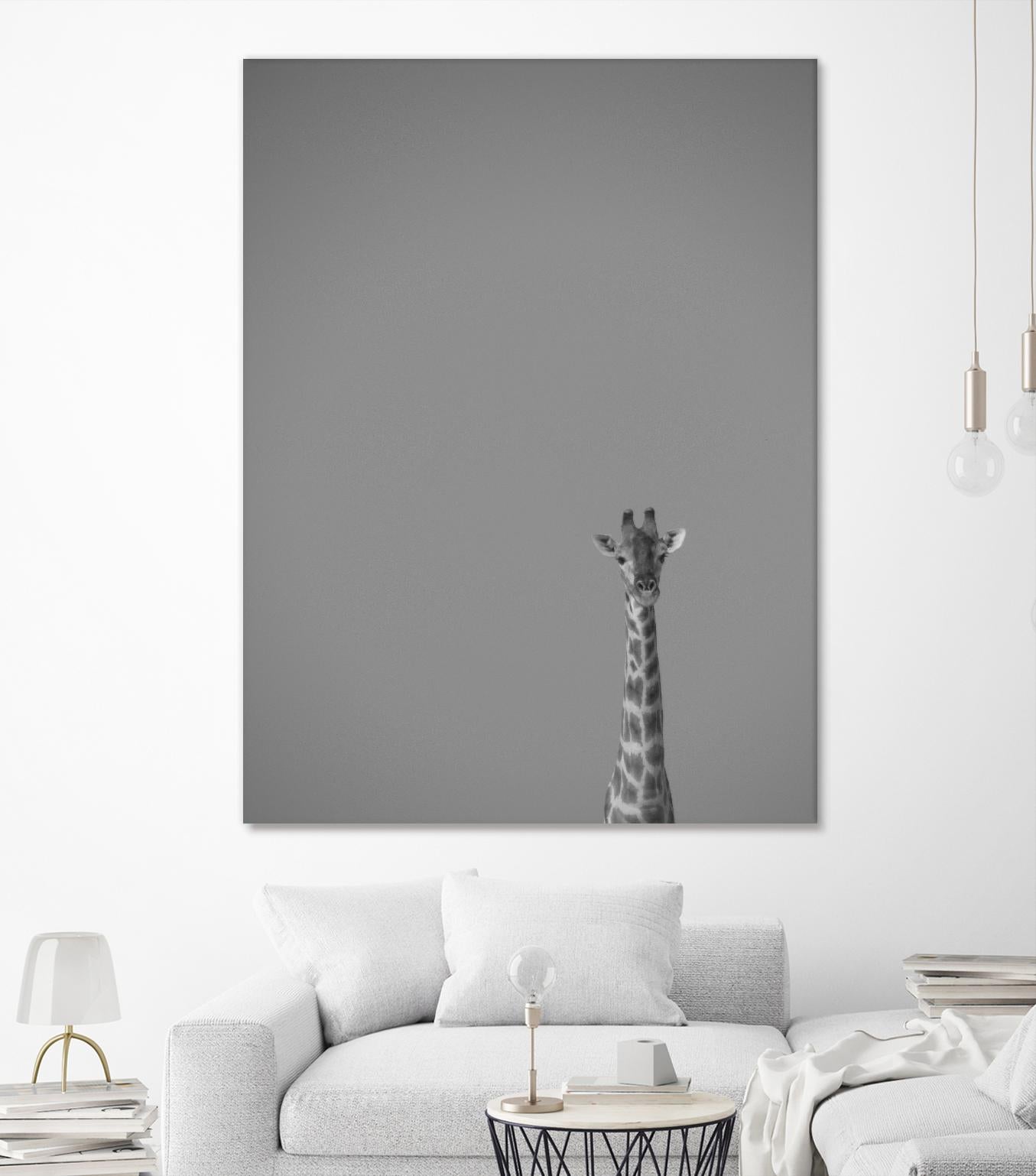 Hello there by Pexels on GIANT ART - black animals