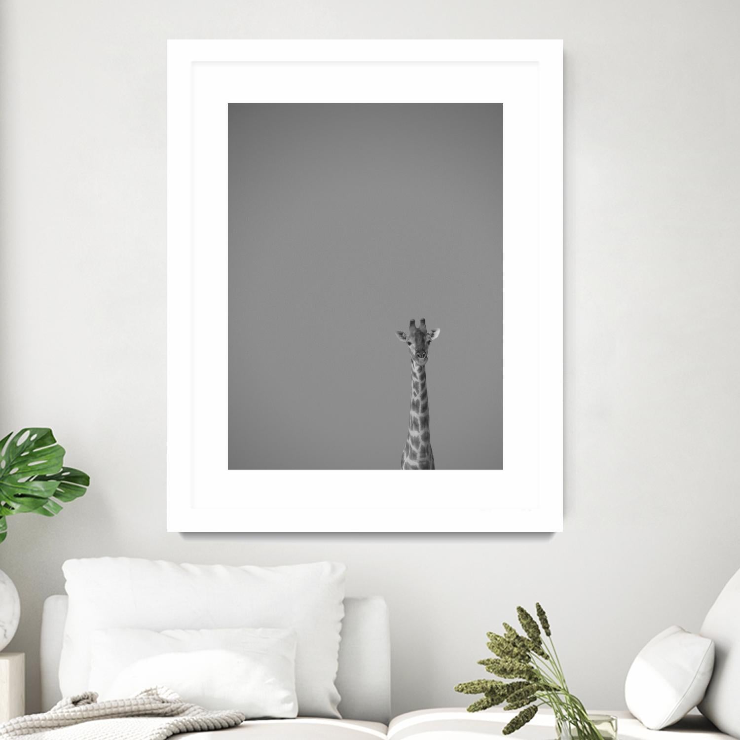 Hello there by Pexels on GIANT ART - black animals