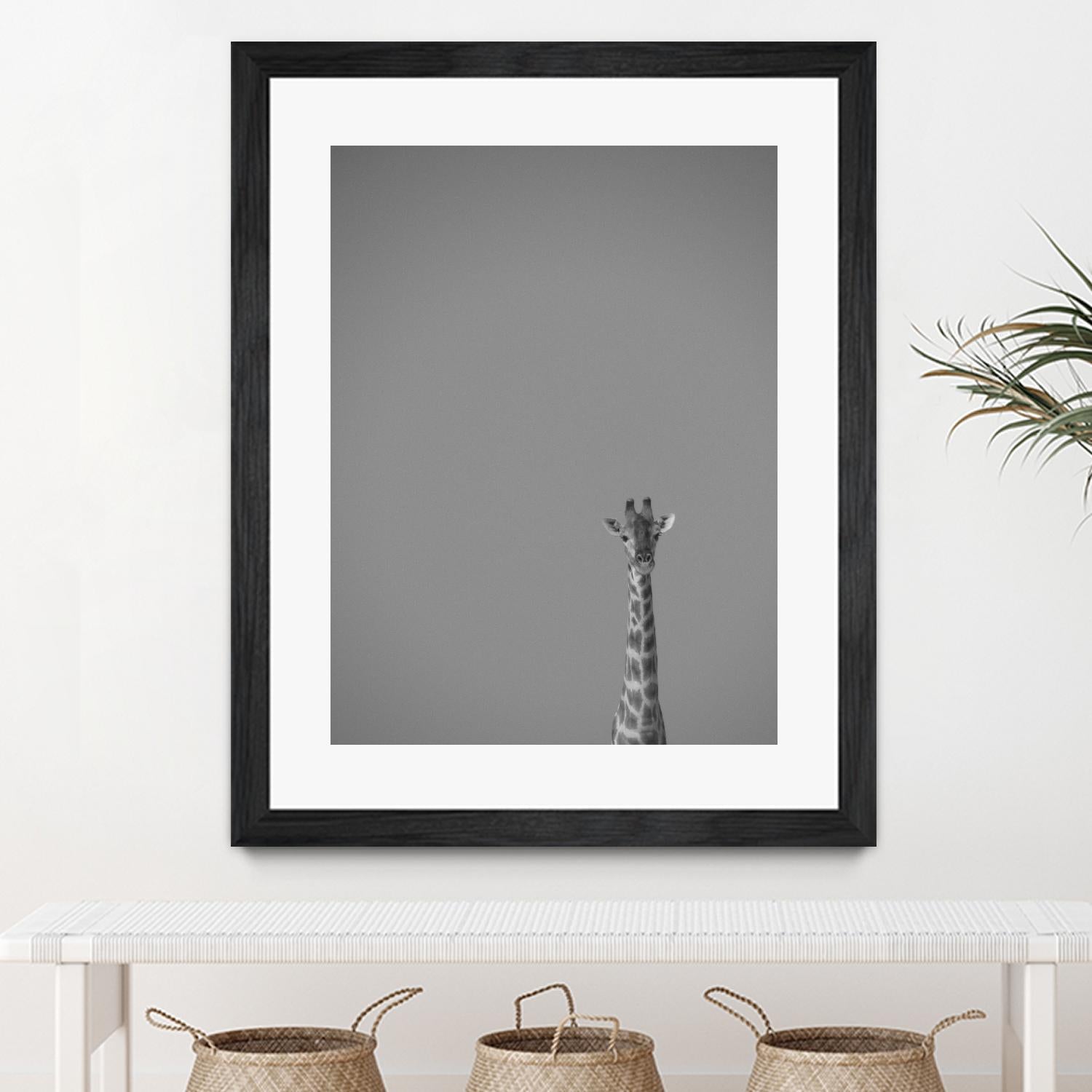 Hello there by Pexels on GIANT ART - black animals