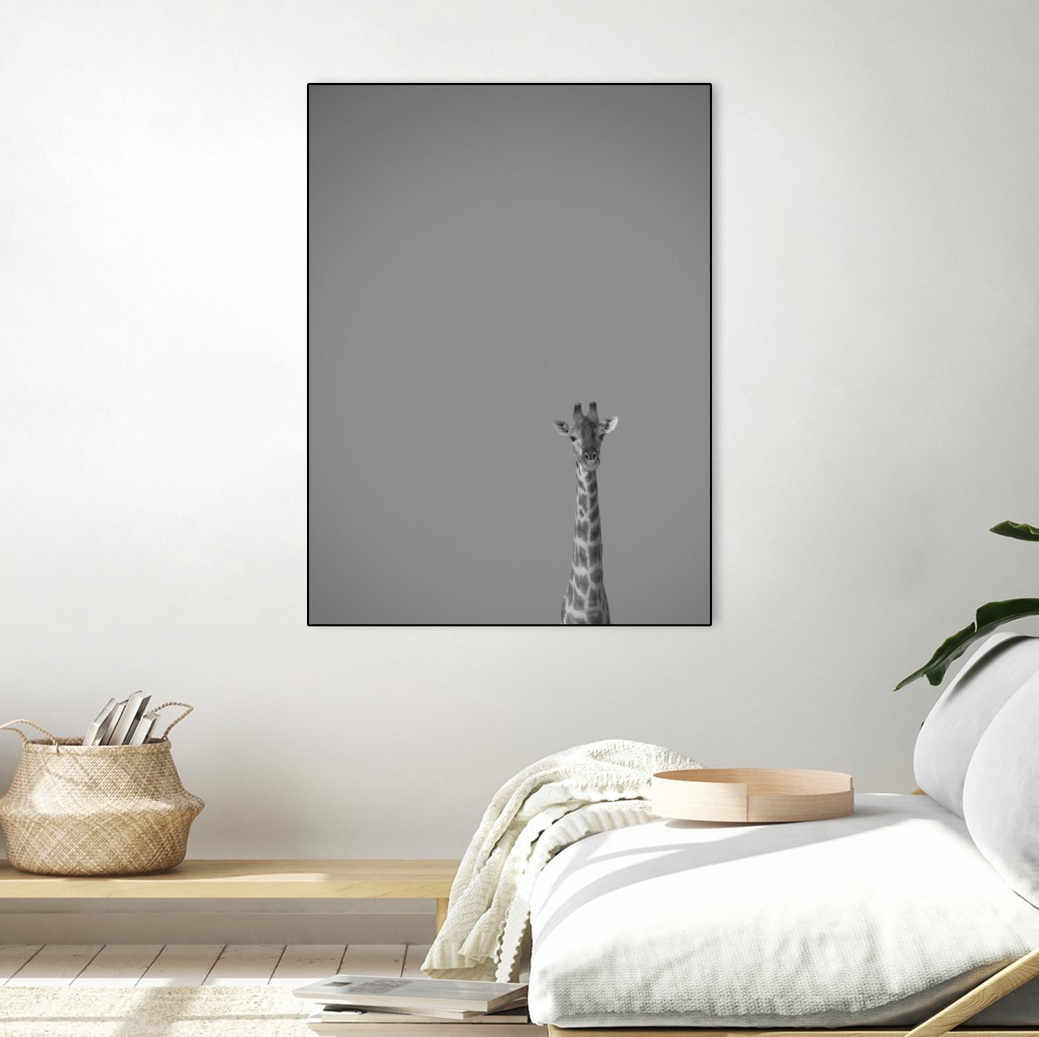 Hello there by Pexels on GIANT ART - black animals