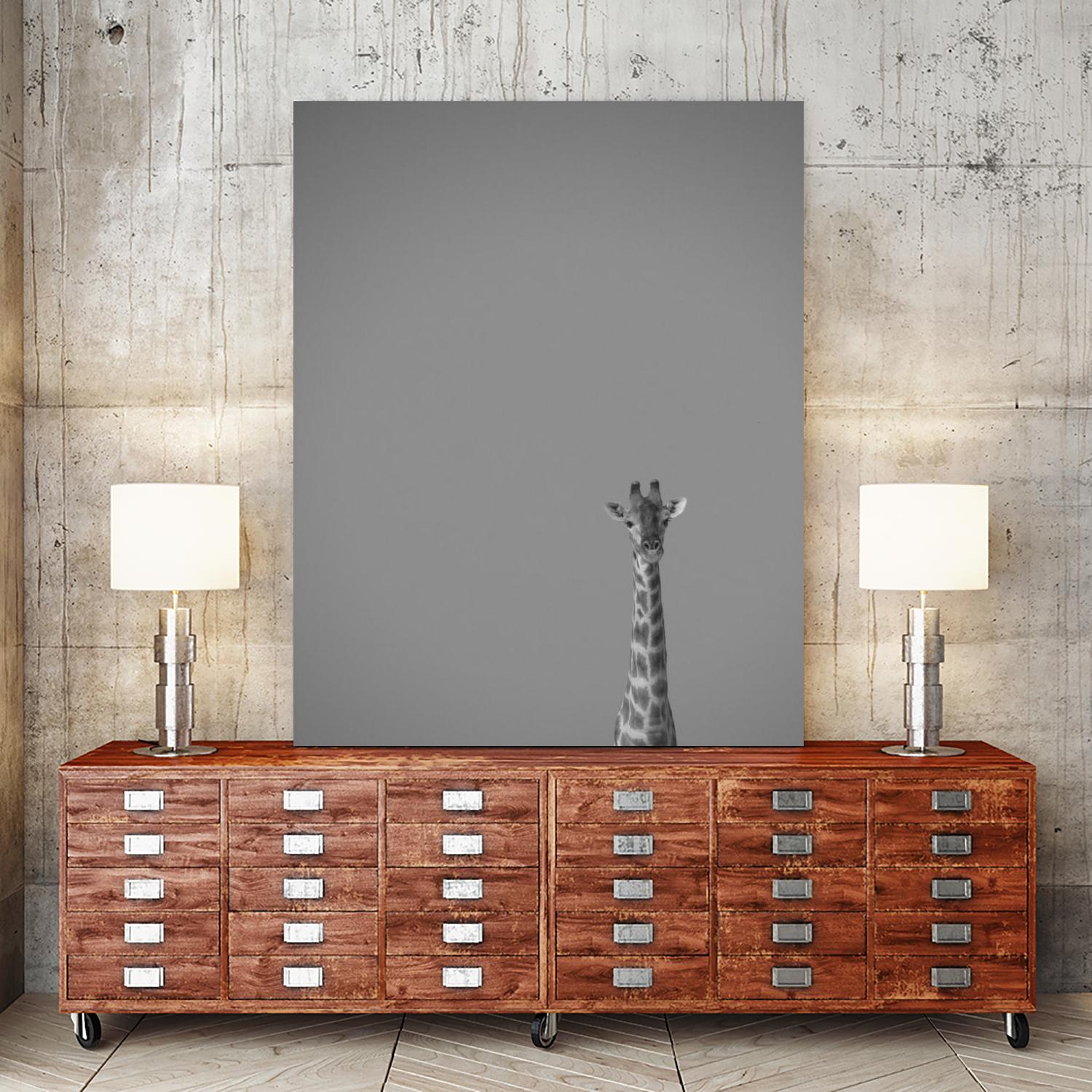 Hello there by Pexels on GIANT ART - black animals