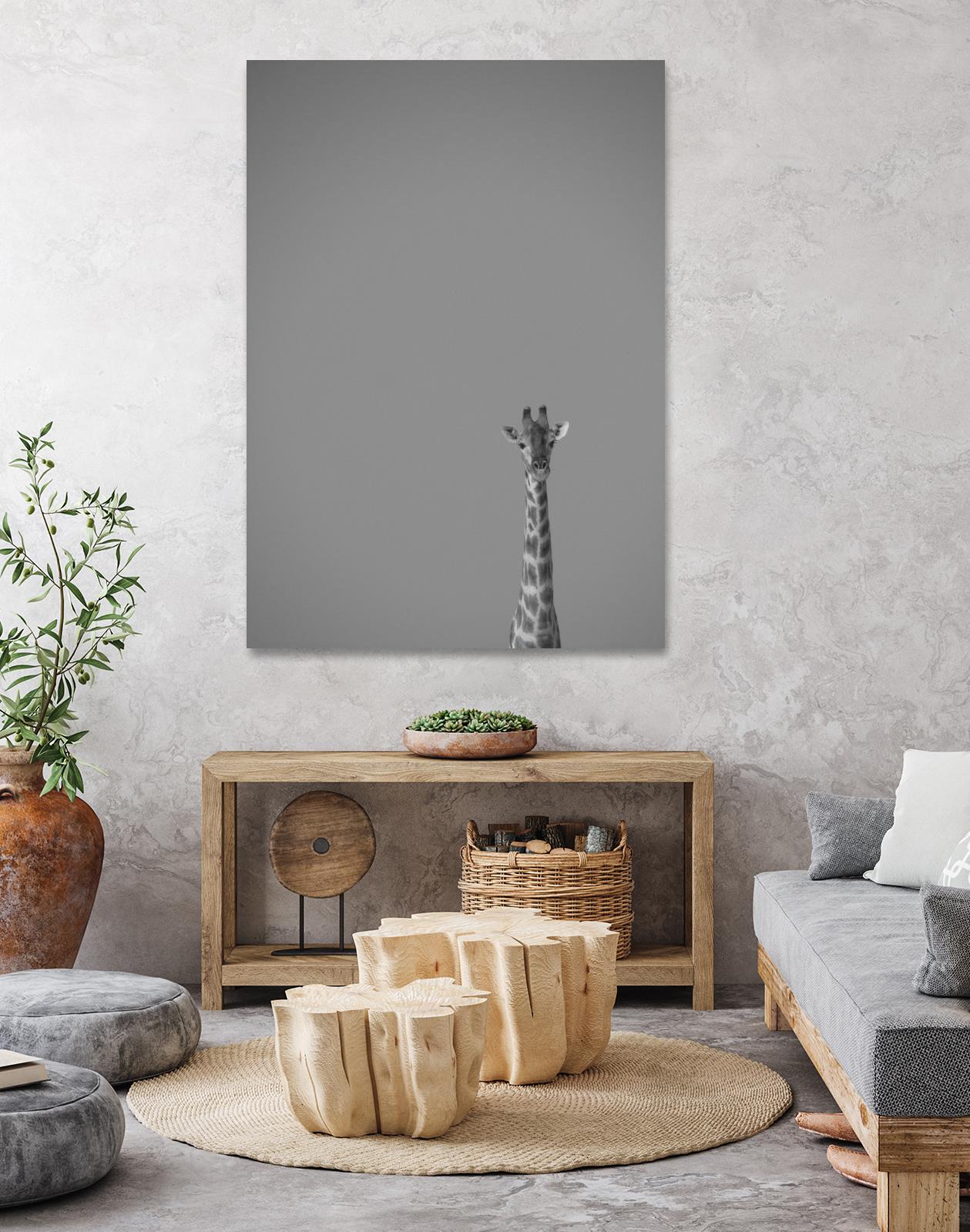 Hello there by Pexels on GIANT ART - black animals