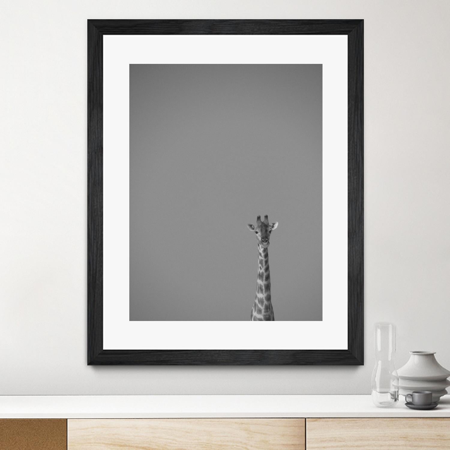 Hello there by Pexels on GIANT ART - black animals