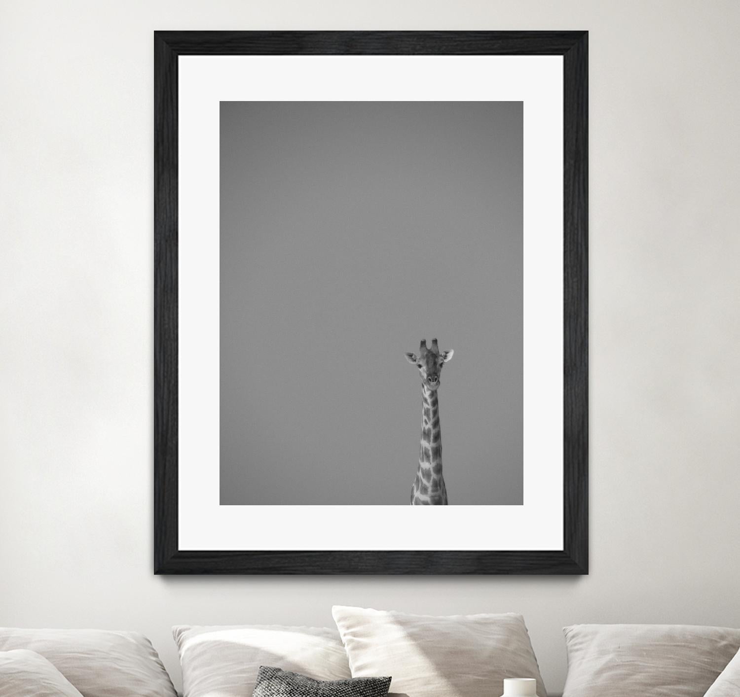 Hello there by Pexels on GIANT ART - black animals