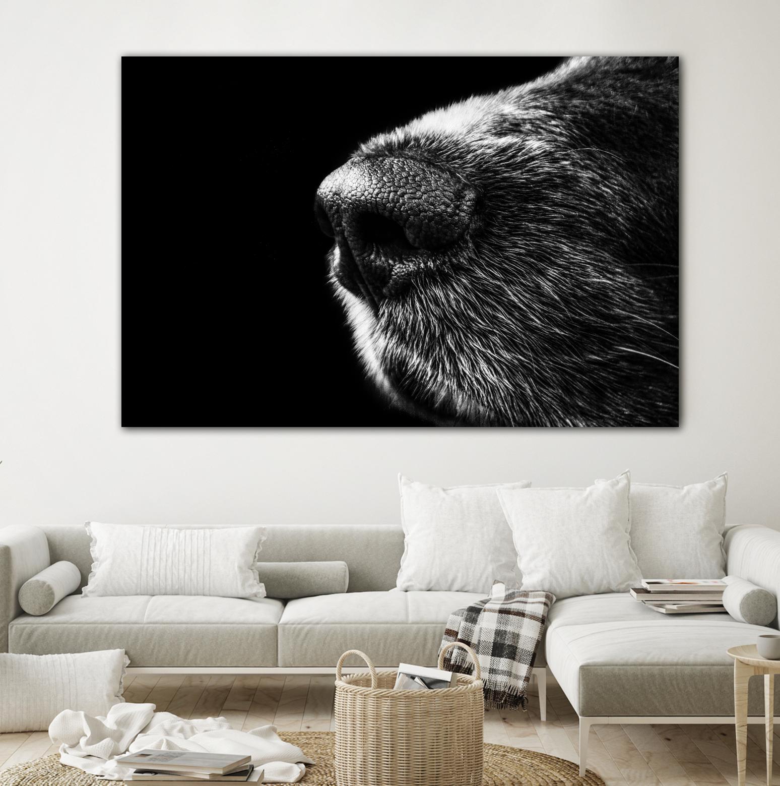 Dog nose by Pexels on GIANT ART - white animals