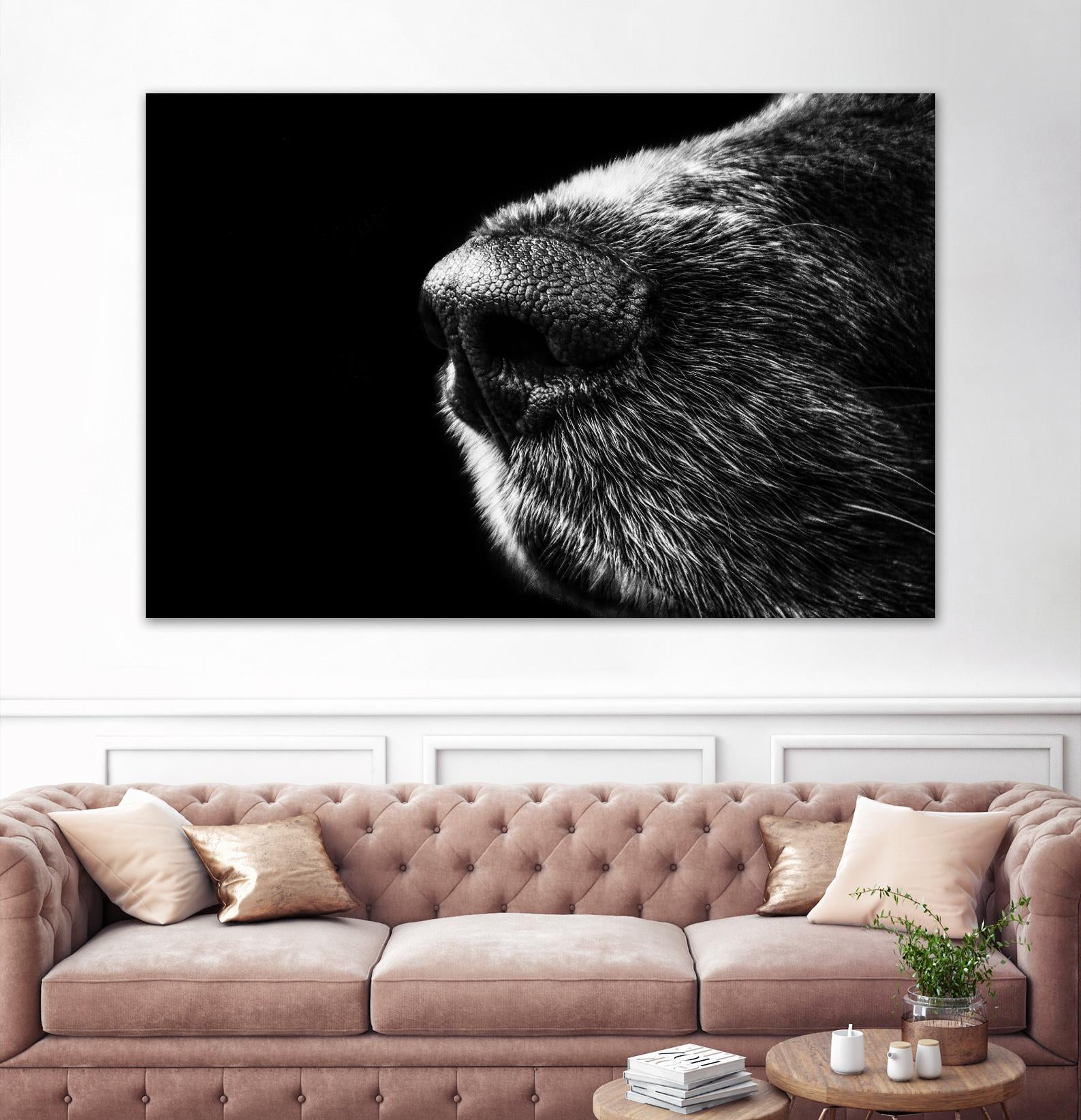 Dog nose by Pexels on GIANT ART - white animals