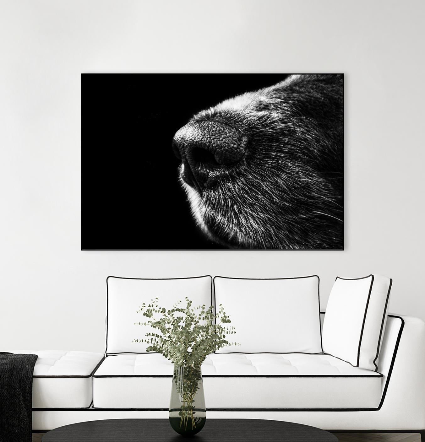 Dog nose by Pexels on GIANT ART - white animals