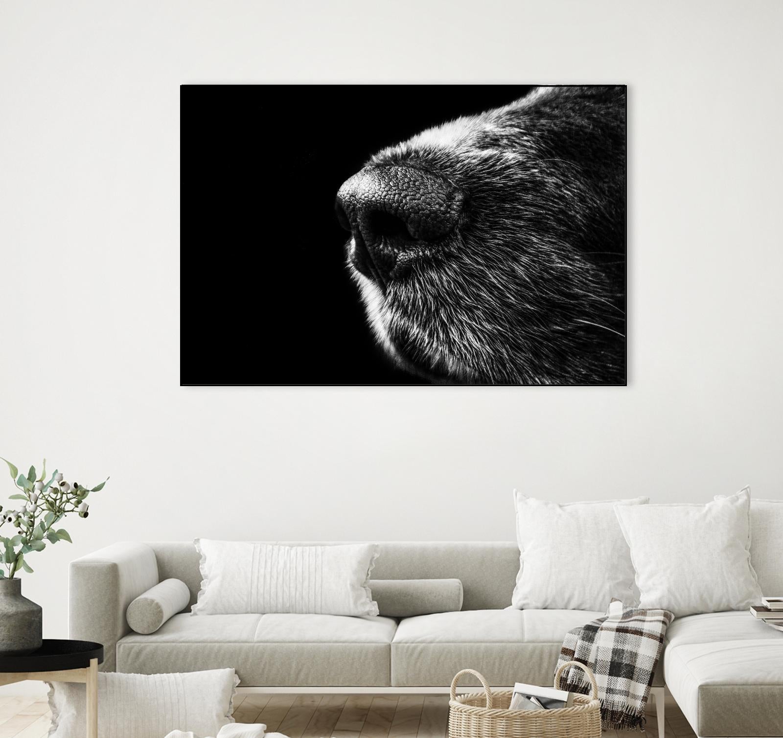 Dog nose by Pexels on GIANT ART - white animals