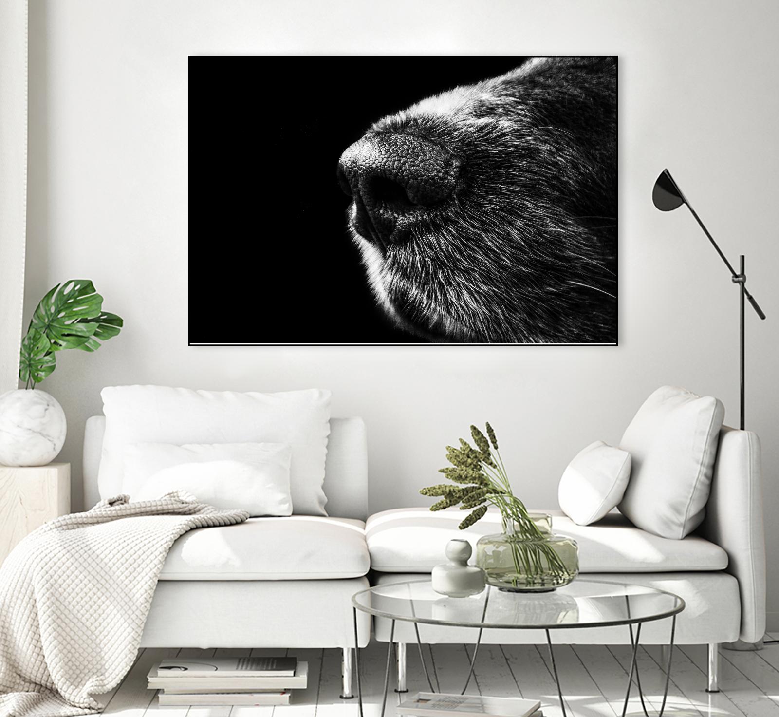 Dog nose by Pexels on GIANT ART - white animals