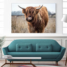 Grazing by Pexels on GIANT ART - black animals