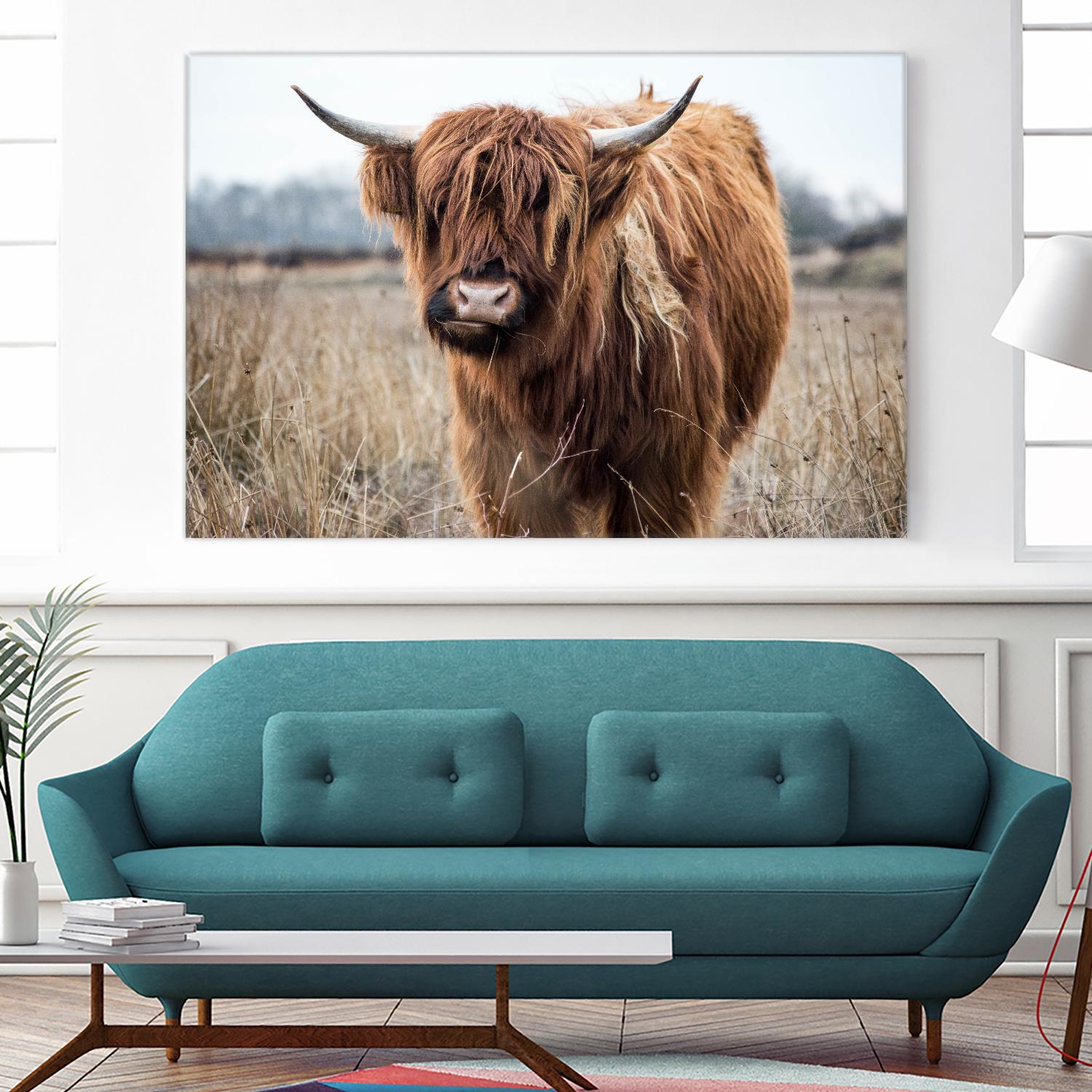 Grazing by Pexels on GIANT ART - black animals