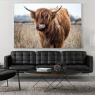 Grazing by Pexels on GIANT ART - black animals