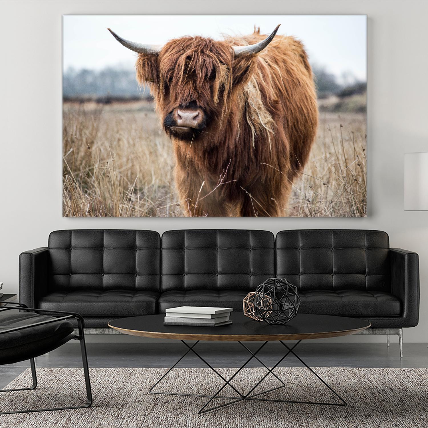 Grazing by Pexels on GIANT ART - black animals