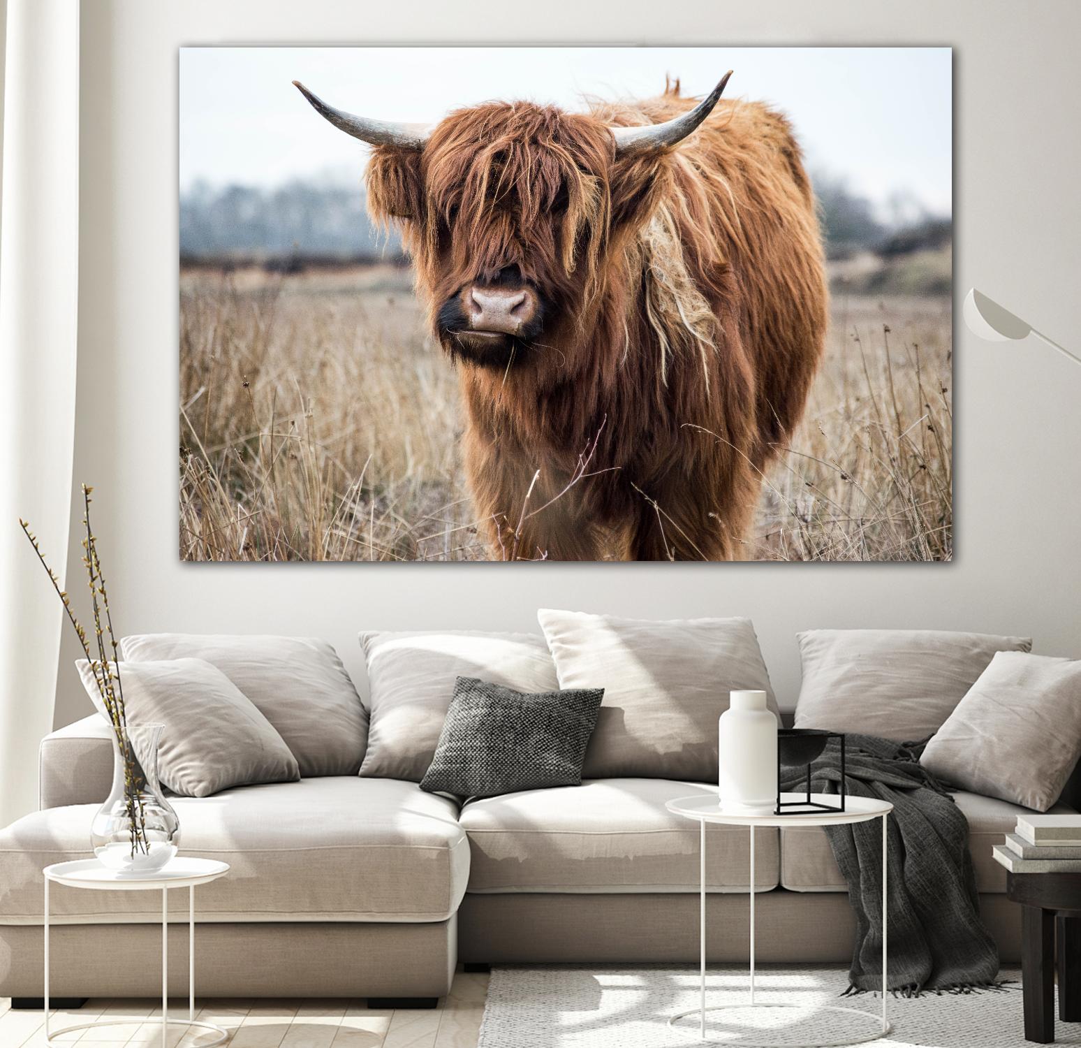 Grazing by Pexels on GIANT ART - black animals