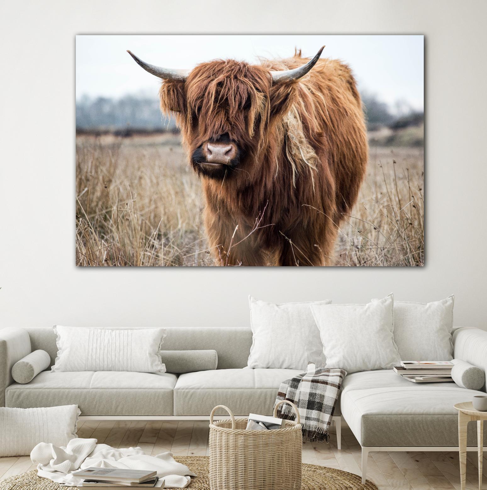 Grazing by Pexels on GIANT ART - black animals