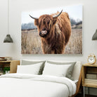 Grazing by Pexels on GIANT ART - black animals