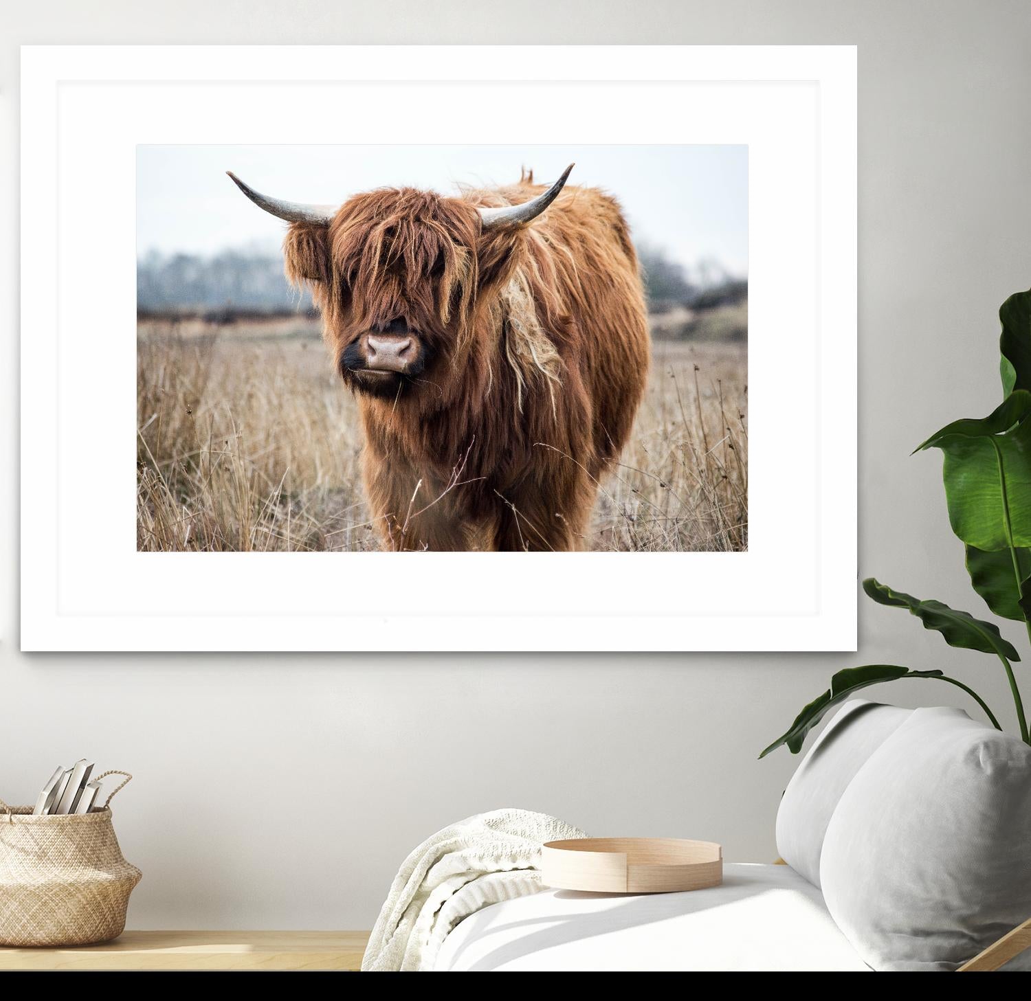 Grazing by Pexels on GIANT ART - black animals