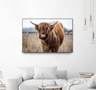 Grazing by Pexels on GIANT ART - black animals