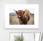 Grazing by Pexels on GIANT ART - black animals